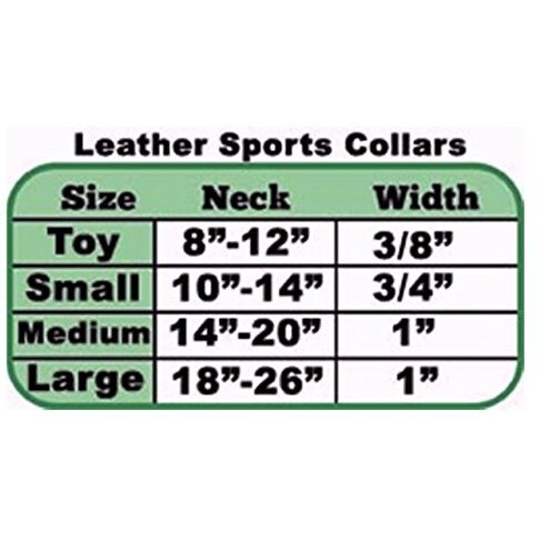 Baltimore Ravens Pet Collar Leather Size Small CO