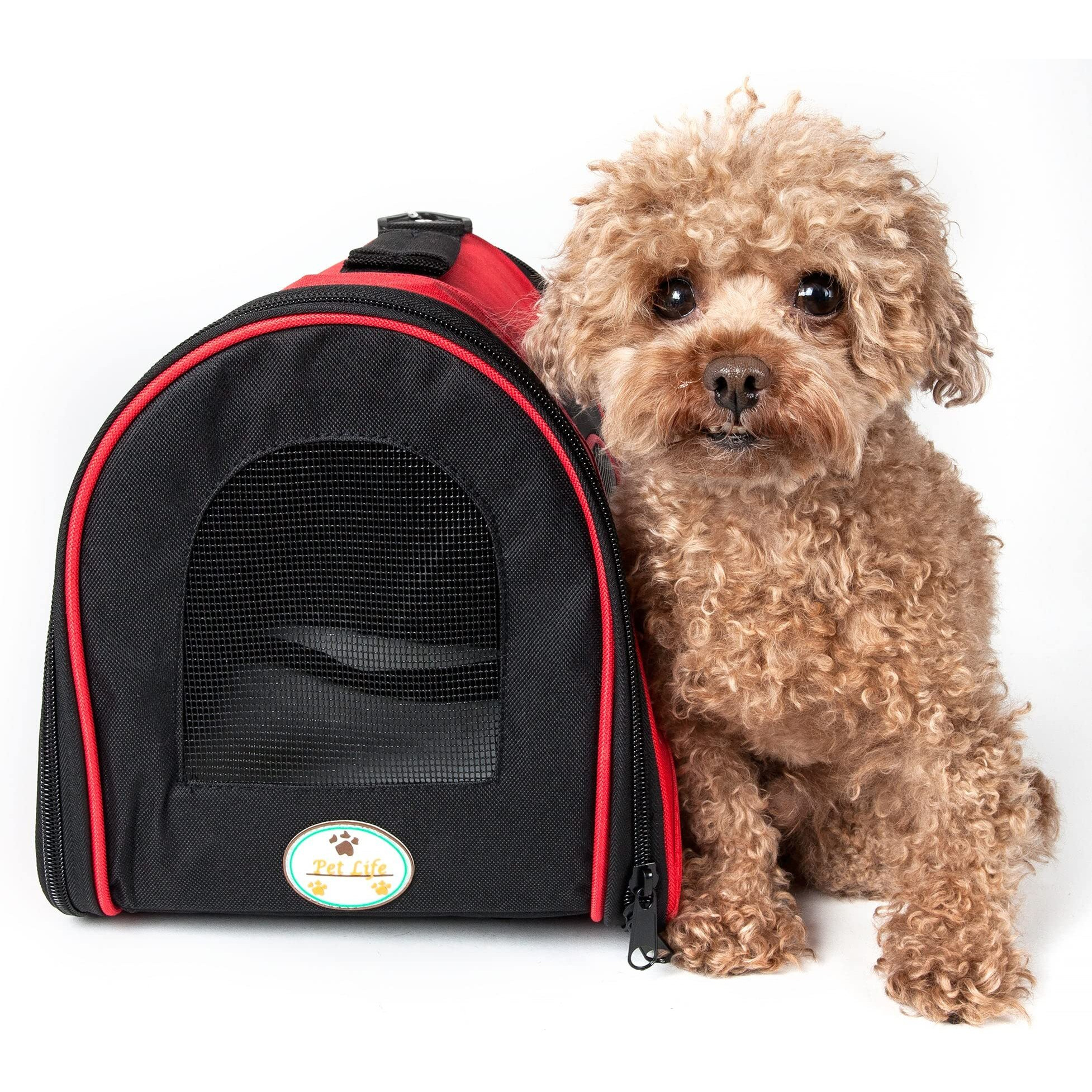 Airline Approved Folding Zippered Sporty Mesh Pet Carrier(D0102H7LLRG.)