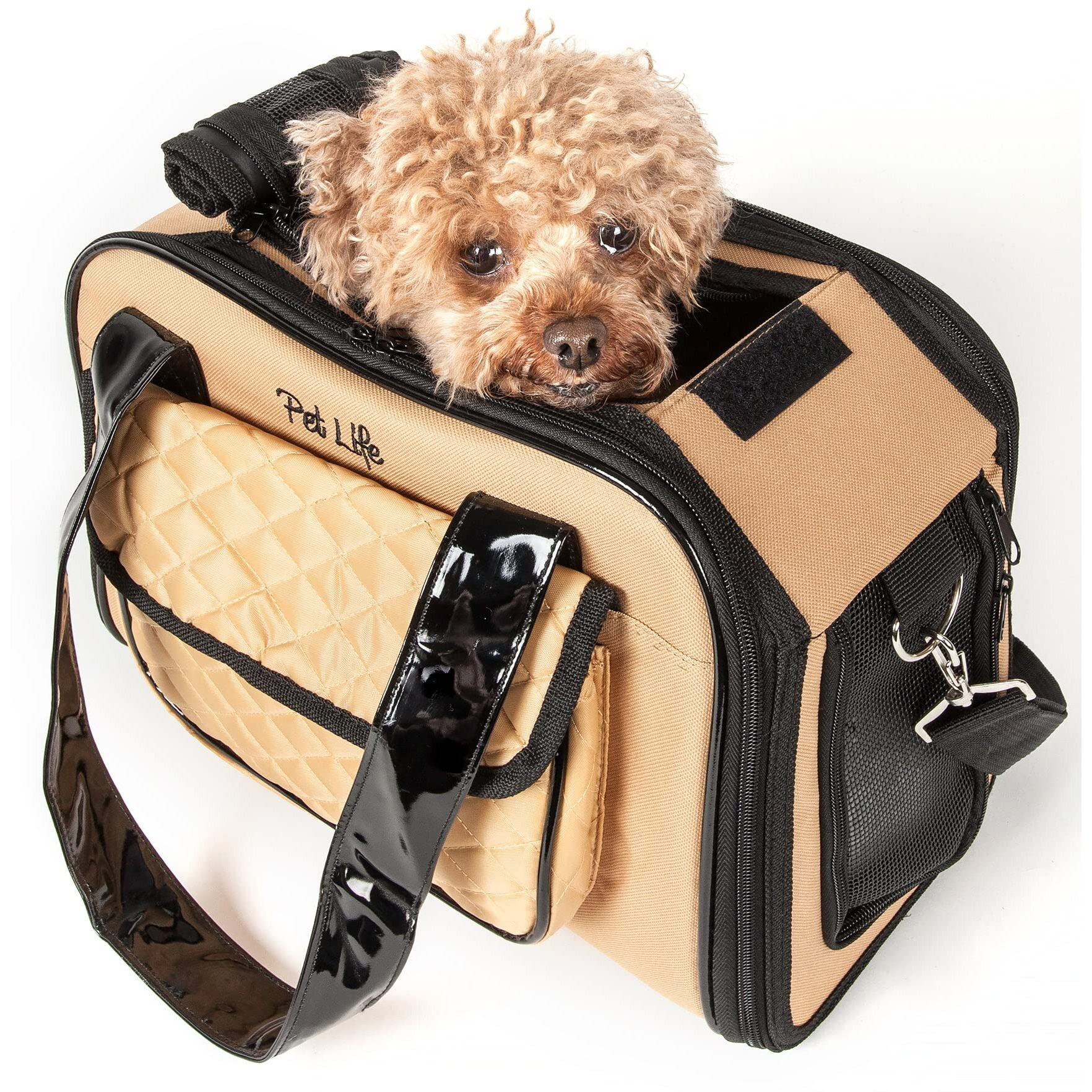 Airline Approved Mystique Fashion Pet Carrier(D0102H7LJJY.)