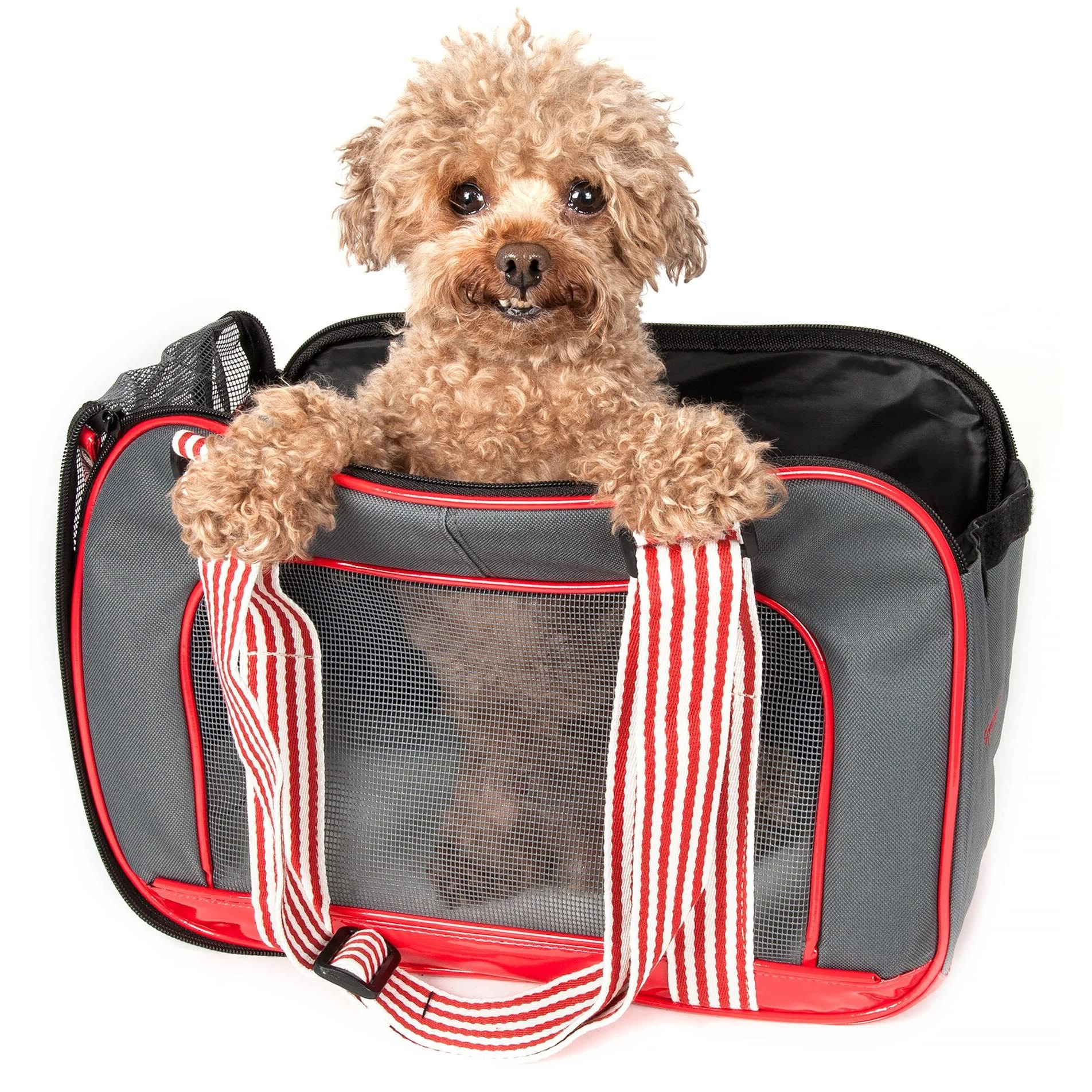 Candy Cane' Fashion Pet Carrier(D0102H7LJDV.)