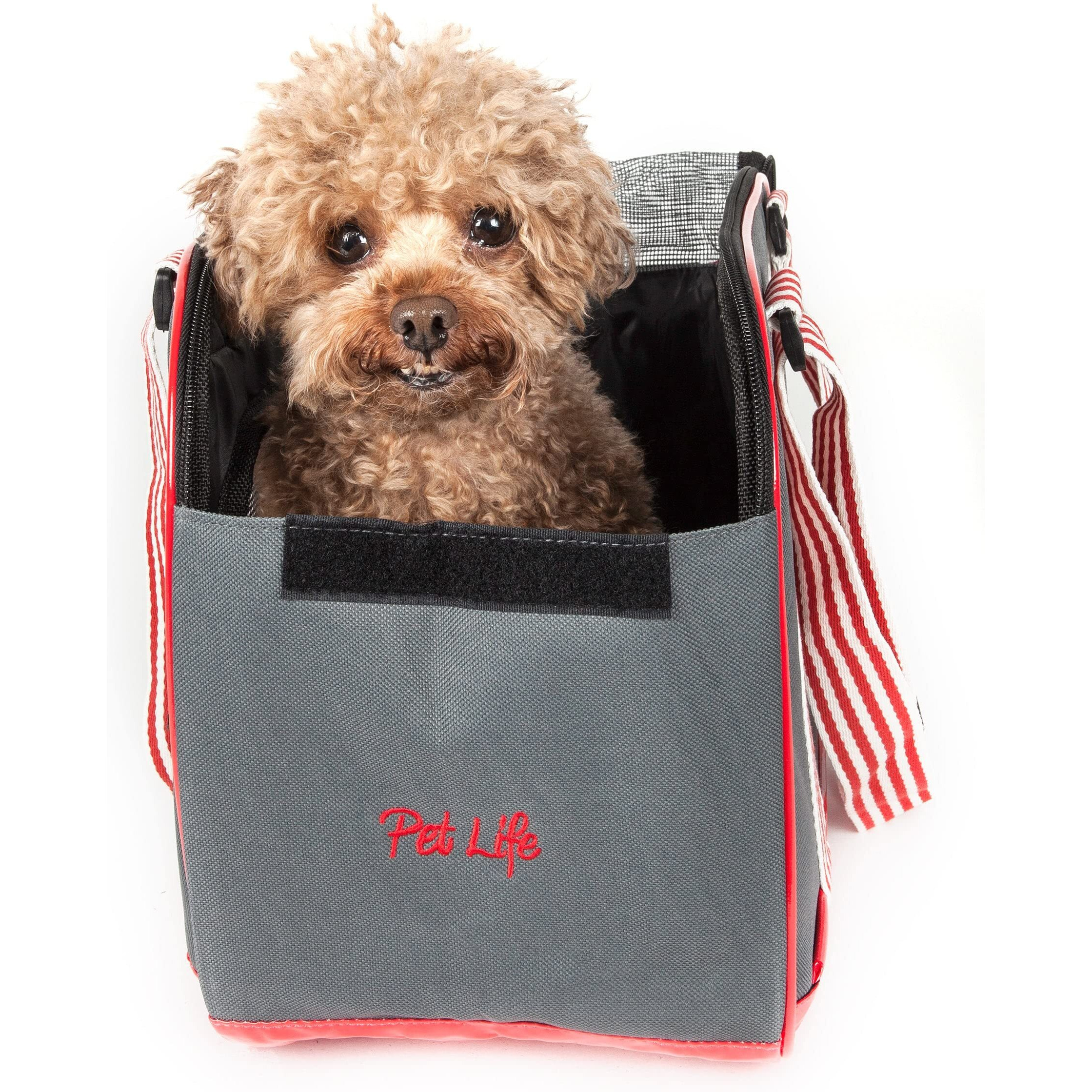 Candy Cane' Fashion Pet Carrier(D0102H7LJDV.)