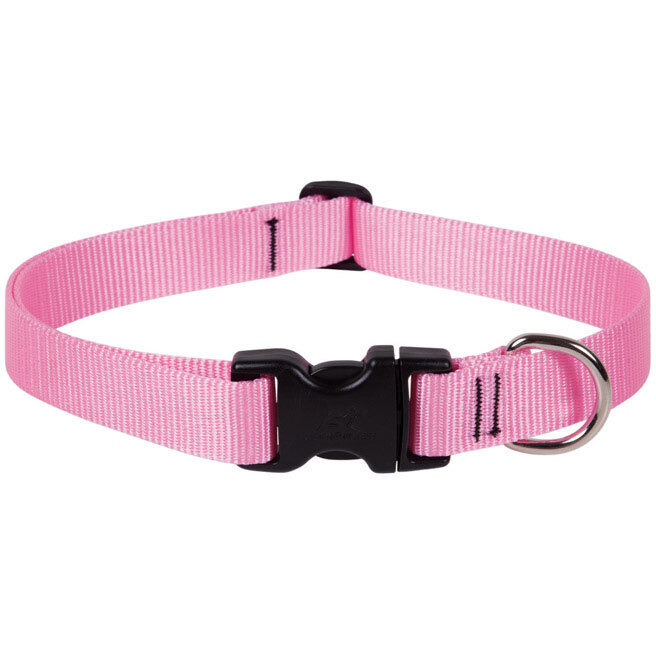 DOG COLLAR16-28&quotADJ PINK (Pack of 1)