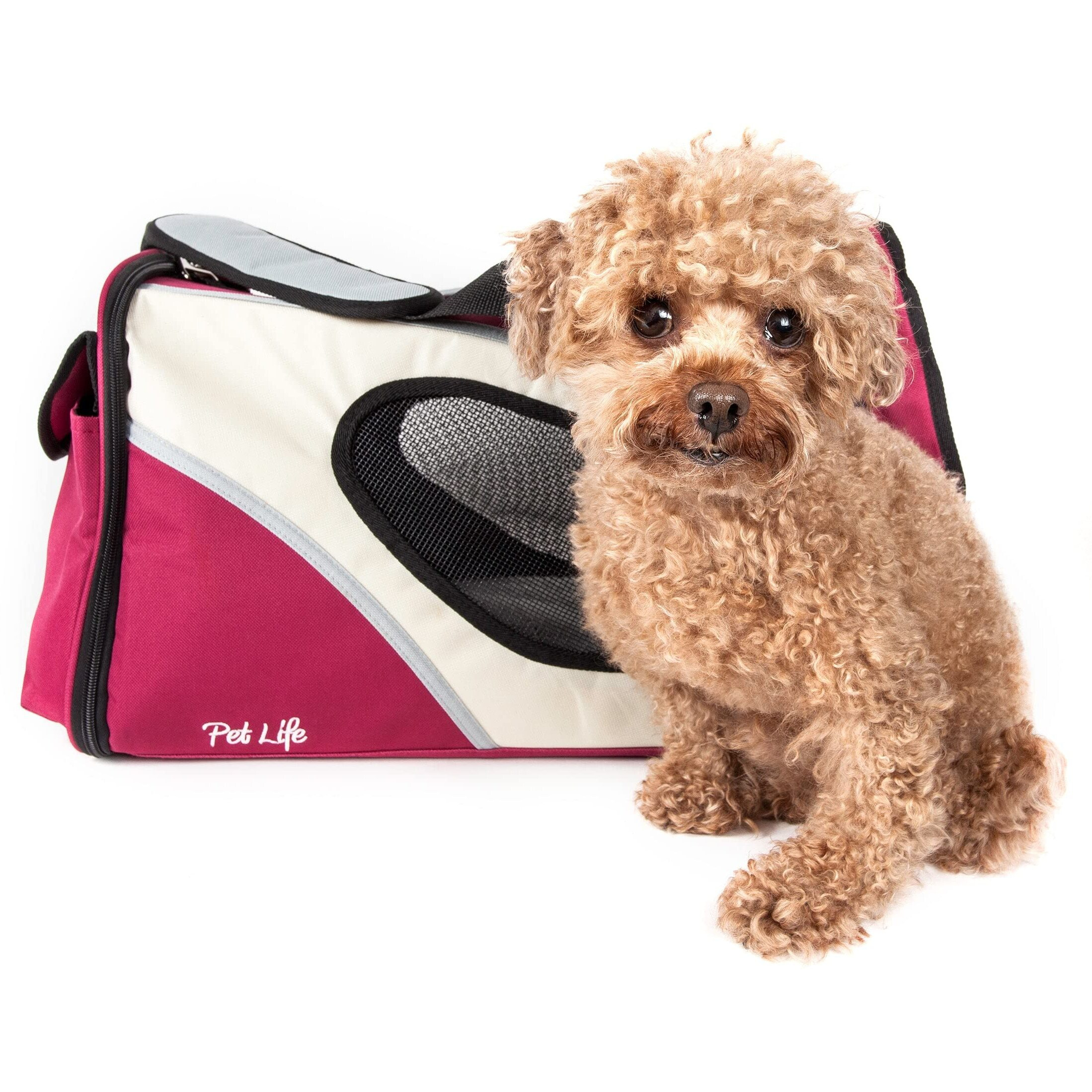 Airline Approved Phenom-Air Collapsible Pet Carrier(D0102H7LZ6Y.)