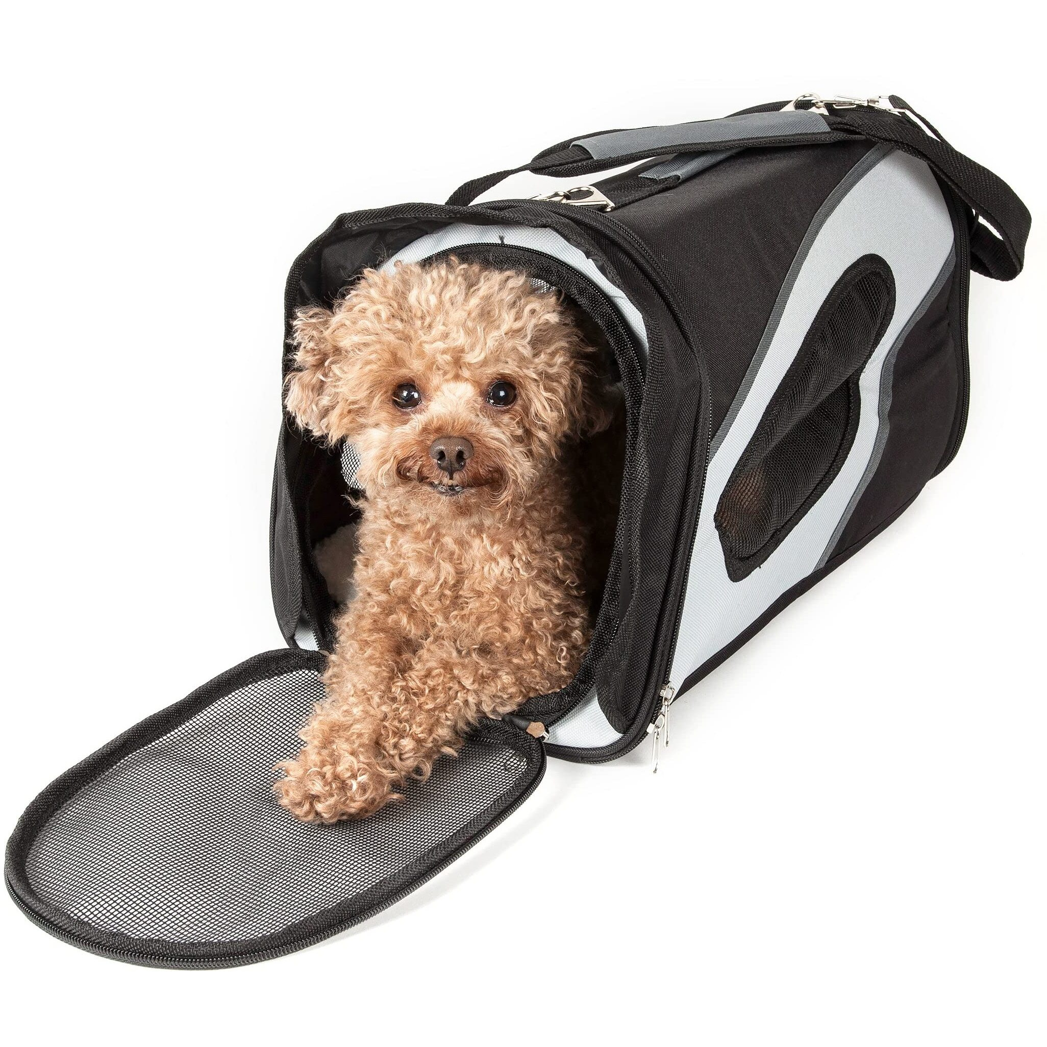 Airline Approved Phenom-Air Collapsible Pet Carrier(D0102H7LZ1W.)