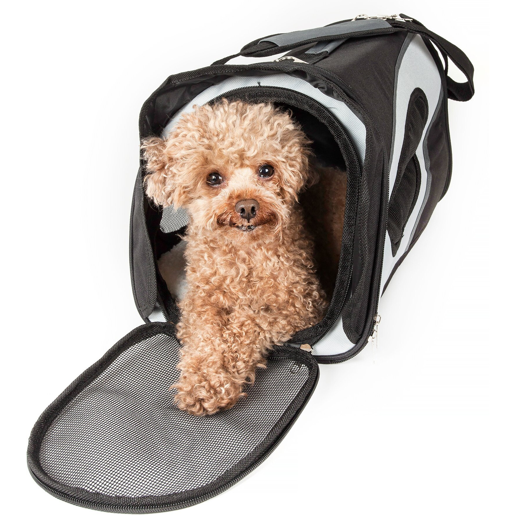 Airline Approved Phenom-Air Collapsible Pet Carrier(D0102H7LZ1W.)