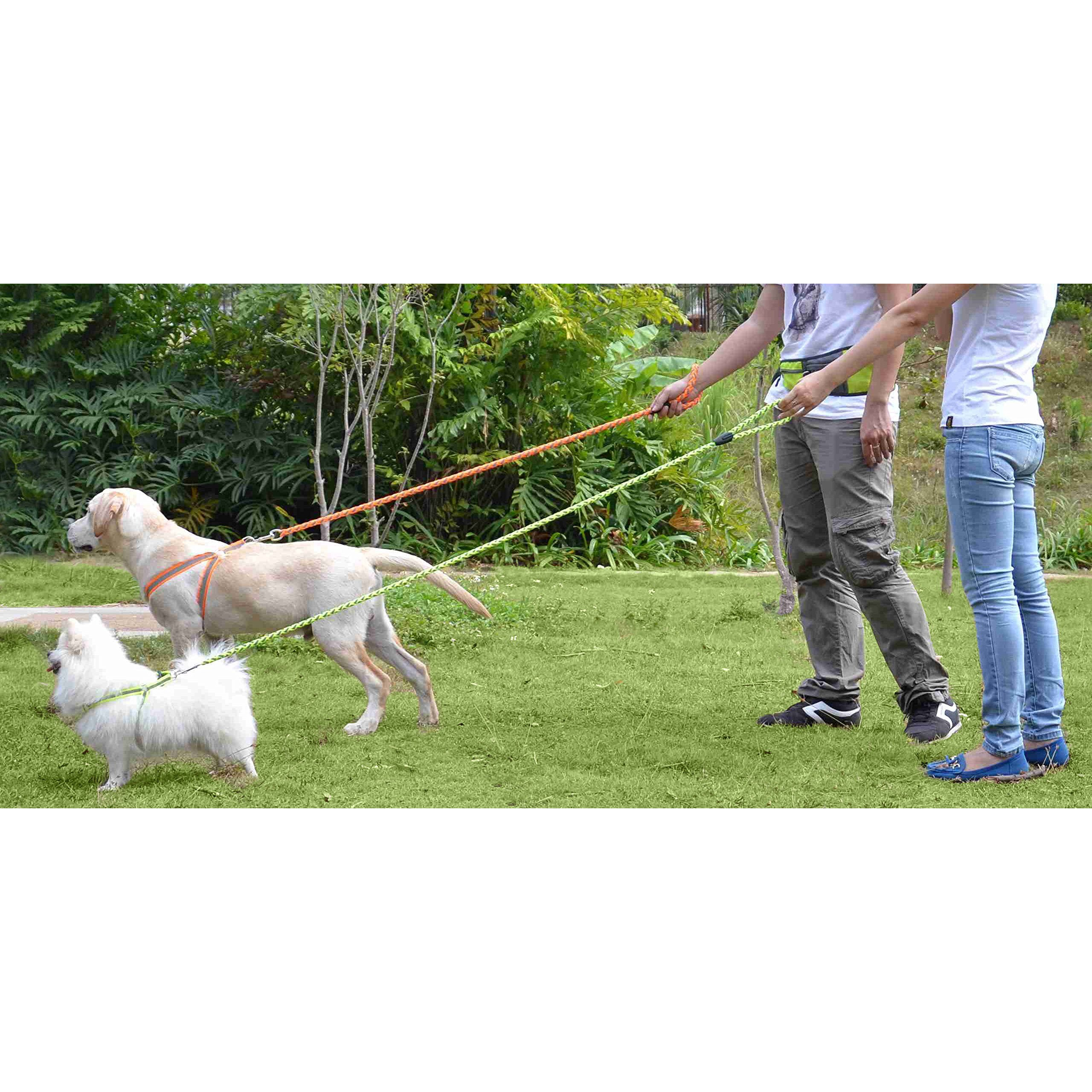Reflective Stitched Easy Tension Adjustable 2-in-1 Dog Leash and Harness(D0102H7LWIV.)