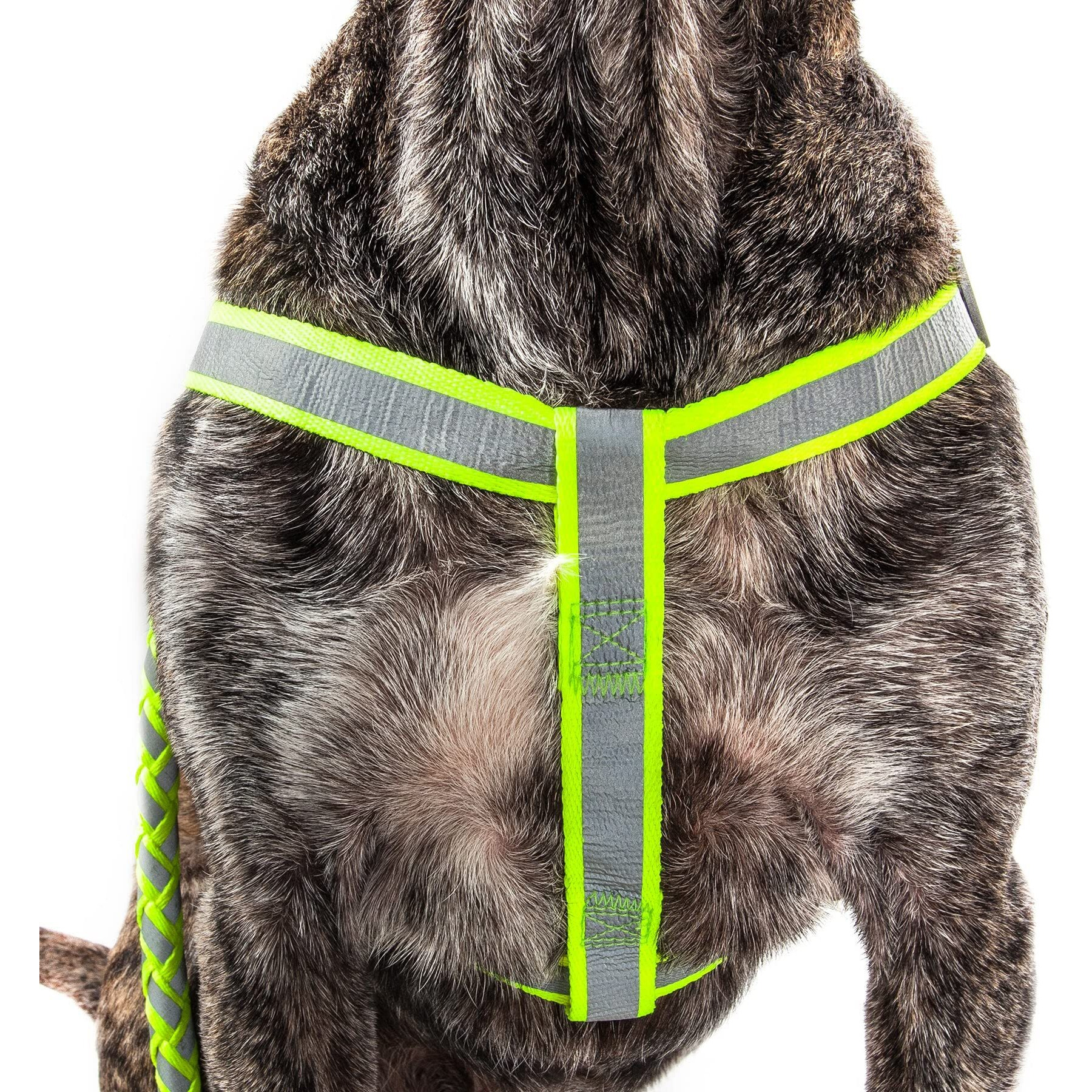 Reflective Stitched Easy Tension Adjustable 2-in-1 Dog Leash and Harness(D0102H7LWIV.)