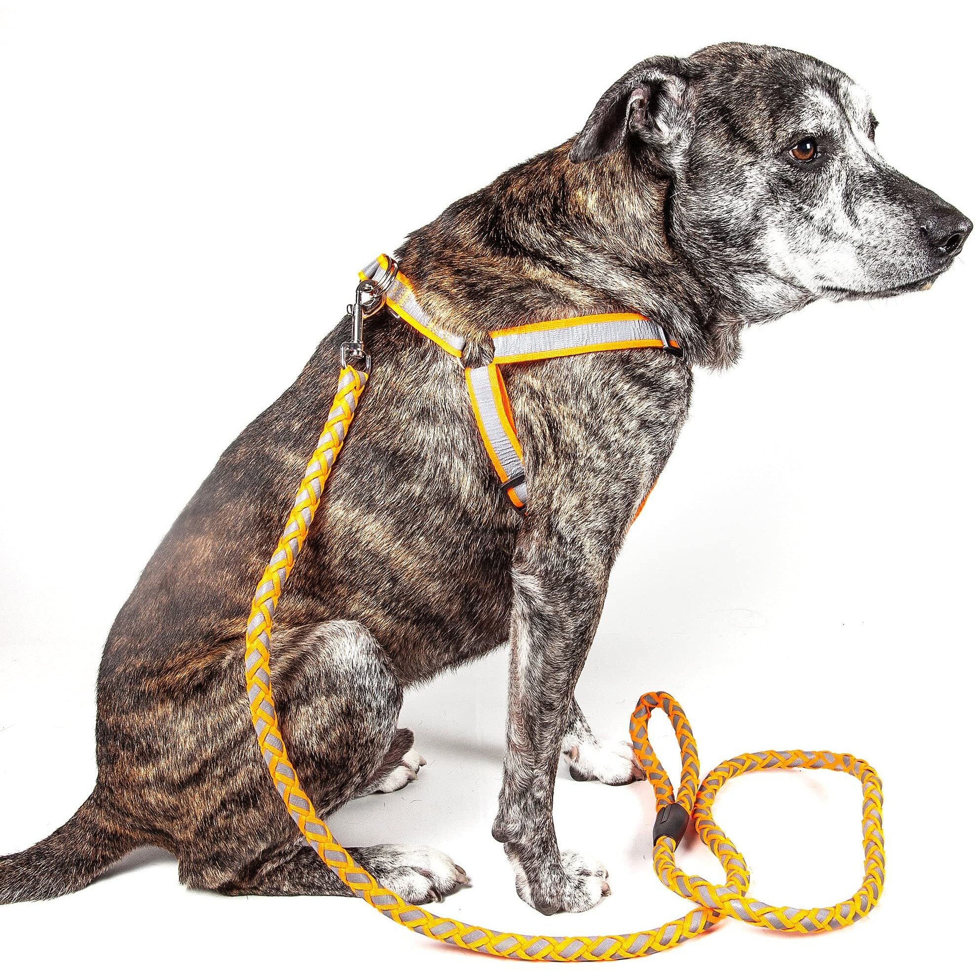 Reflective Stitched Easy Tension Adjustable 2-in-1 Dog Leash and Harness(D0102H7LW2Y.)