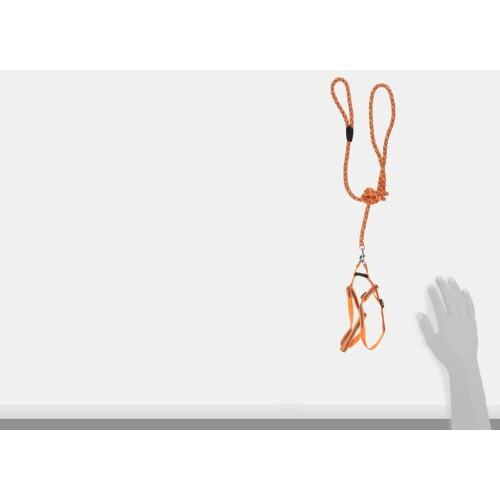 Reflective Stitched Easy Tension Adjustable 2-in-1 Dog Leash and Harness(D0102H7LW2Y.)