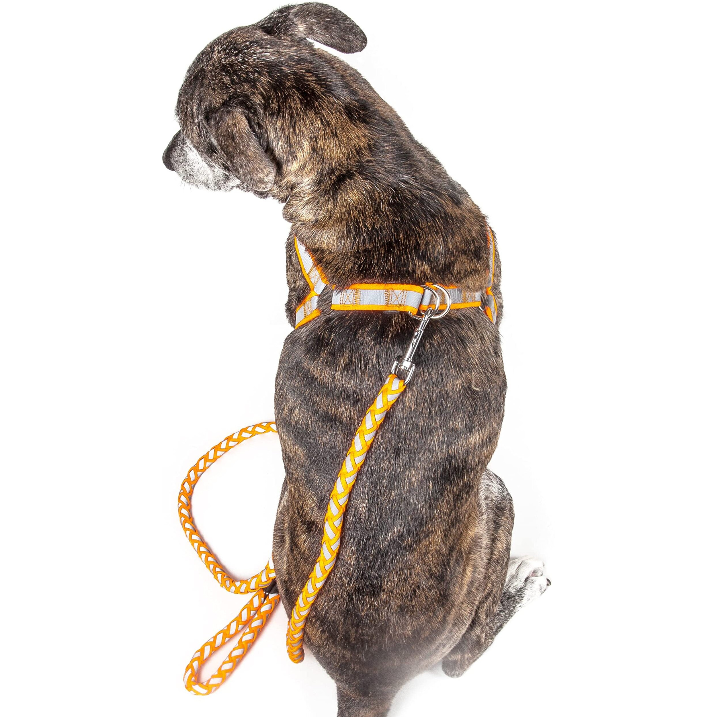 Reflective Stitched Easy Tension Adjustable 2-in-1 Dog Leash and Harness(D0102H7LW2Y.)