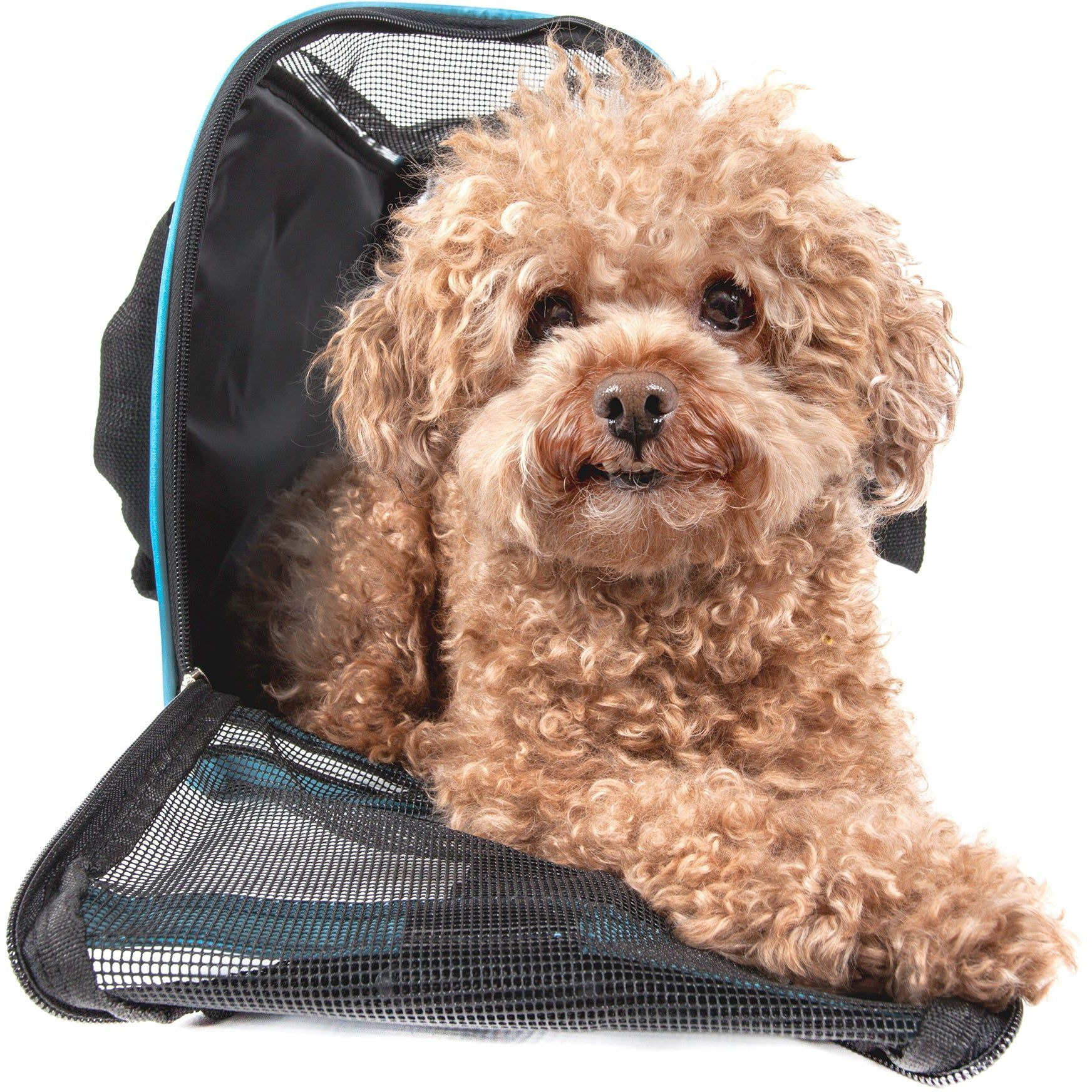 Airline Approved Altitude Force Sporty Zippered Fashion Pet Carrier(D0102H7LZDU.)