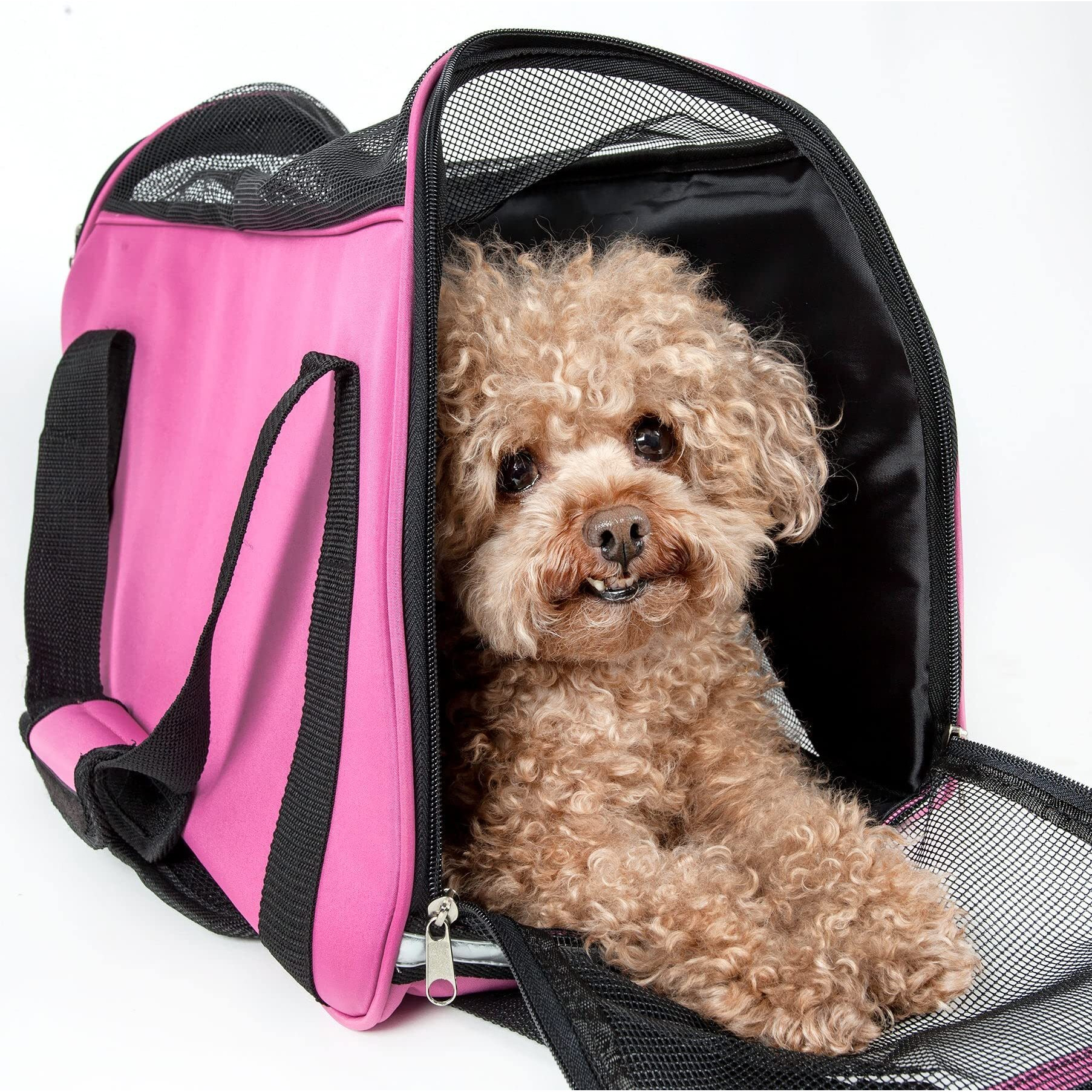 Airline Approved Altitude Force Sporty Zippered Fashion Pet Carrier(D0102H7LZZG.)