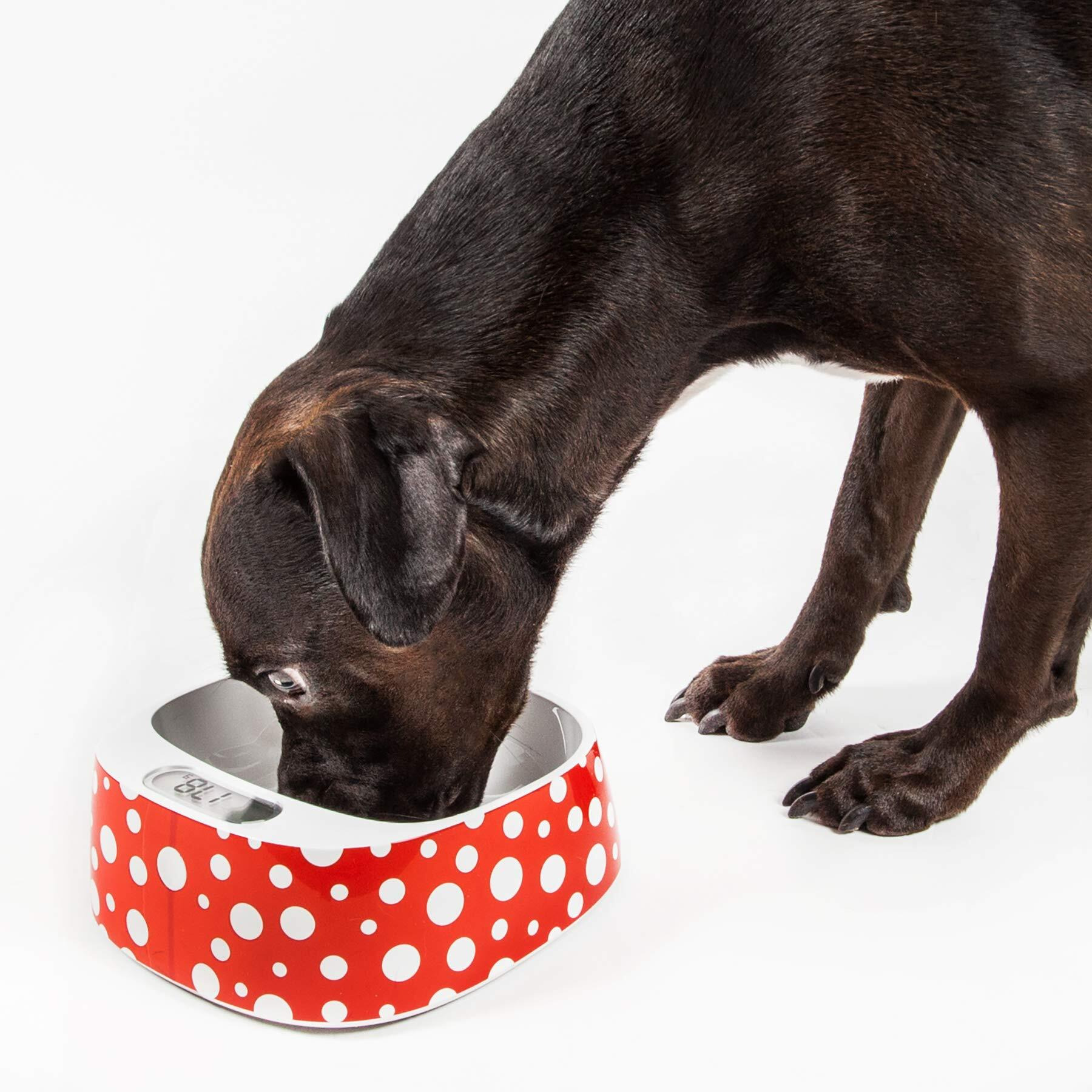 PETKIT FRESH Smart Digital Feeding Pet Bowl(D0102H70UKV.)