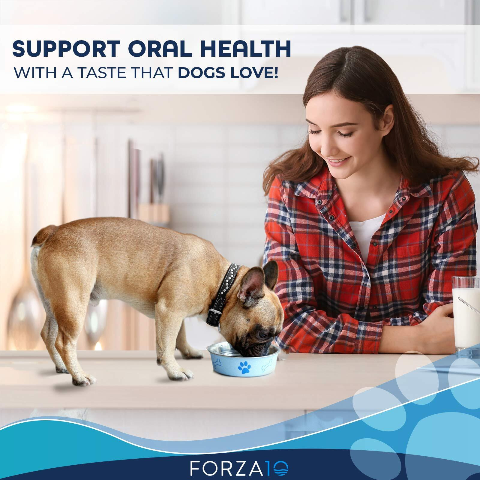 Active Dog Oral 6lb(D0102H2B4TA)