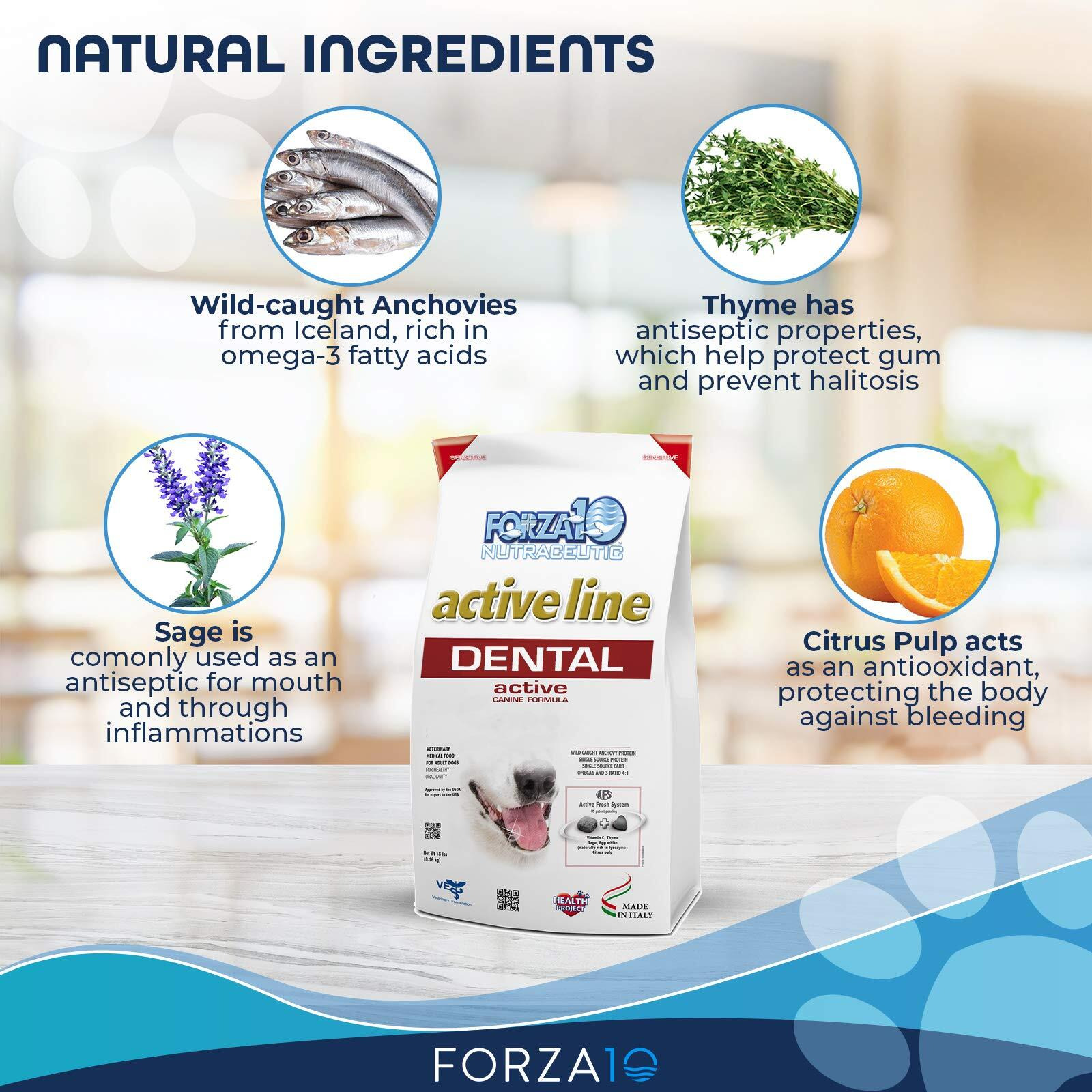 Active Dog Oral 6lb(D0102H2B4TA)
