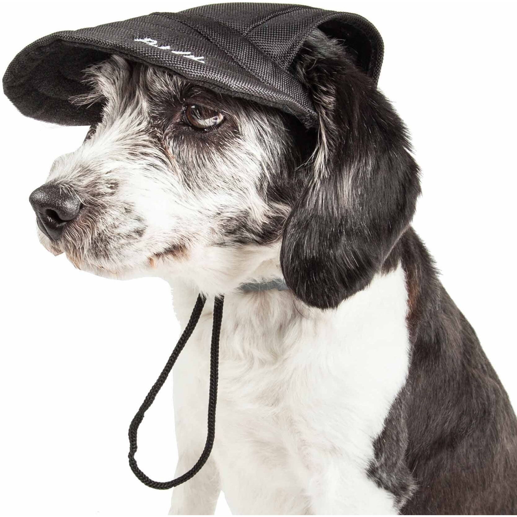 Pet Life 'Cap-Tivating' Uv Protectant Adjustable Fashion Dog Hat Cap(D0102H70ZIY.)