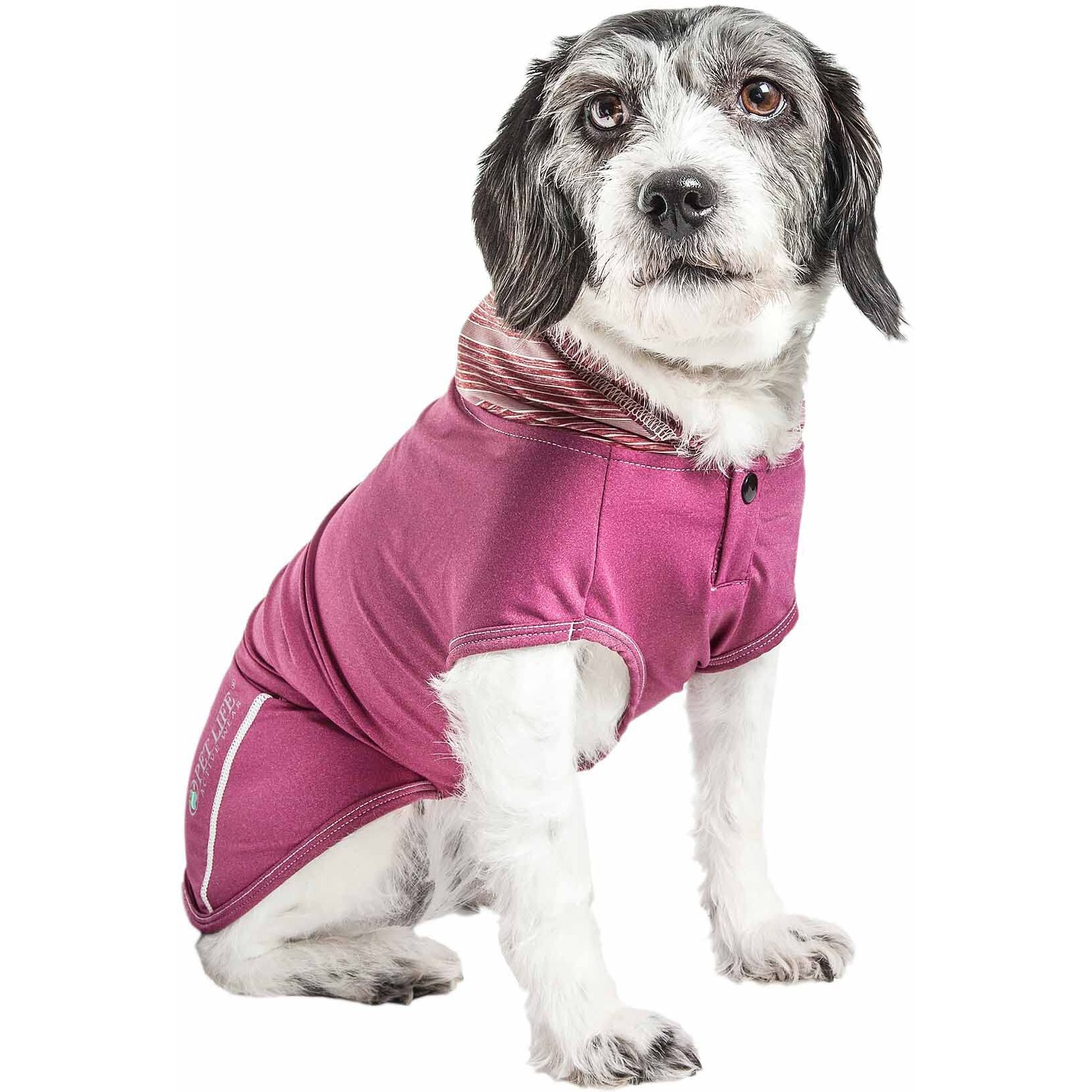 Pet Life Active 'Pull-Rover' Premium 4-Way Stretch Two-Toned Performance Sleeveless Dog T-Shirt Tank Top Hoodie(D0102H7L337.)