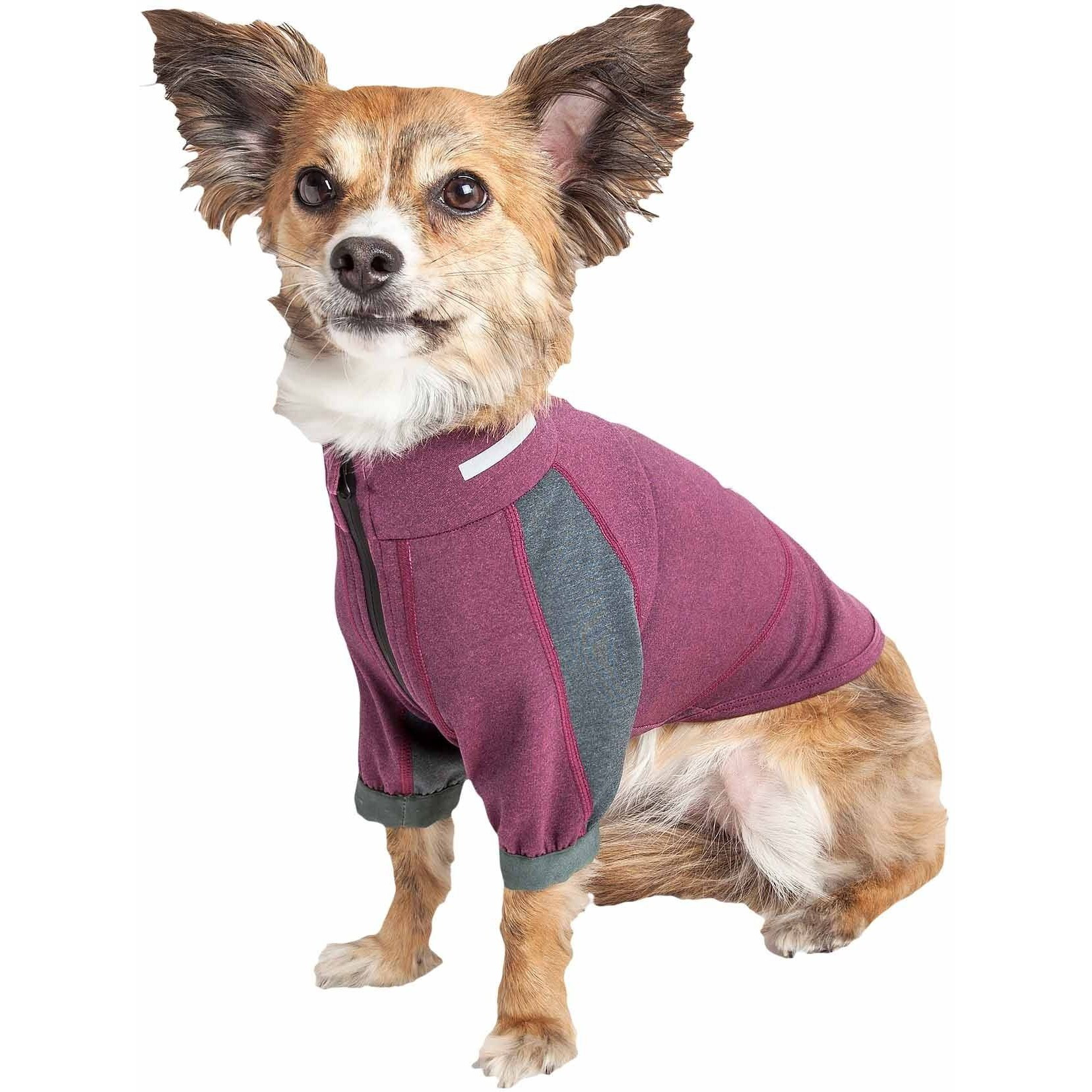 Dog Helios 'Eboneflow' Mediumweight 4-Way-Stretch Flexible And Breathable Performance Dog Yoga T-Shirt(D0102H7L3RG.)