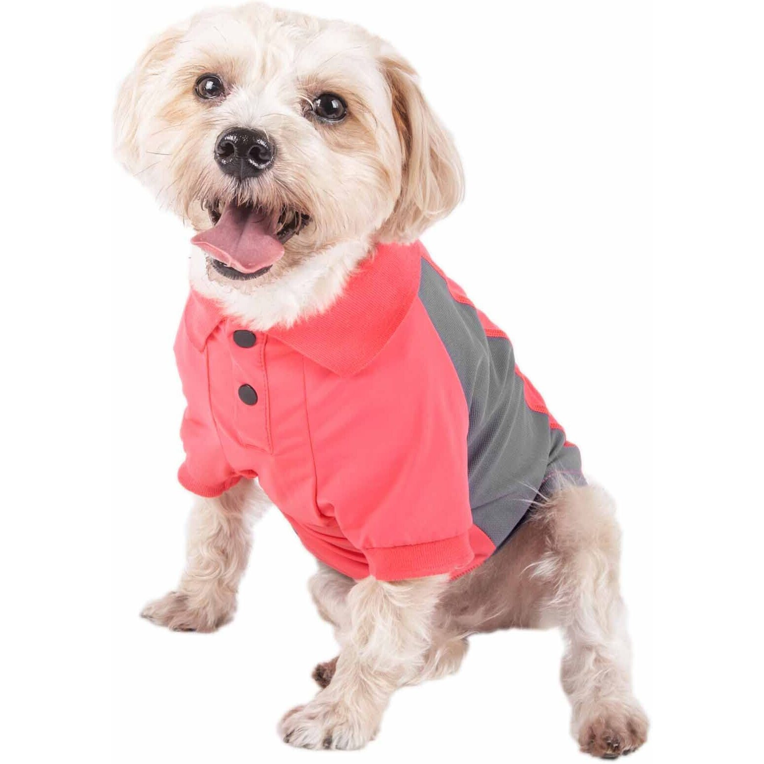 Pet Life Active 'Barko Pawlo' Relax-Stretch Wick-Proof Performance Dog Polo T-Shirt(D0102H7L3SG.)