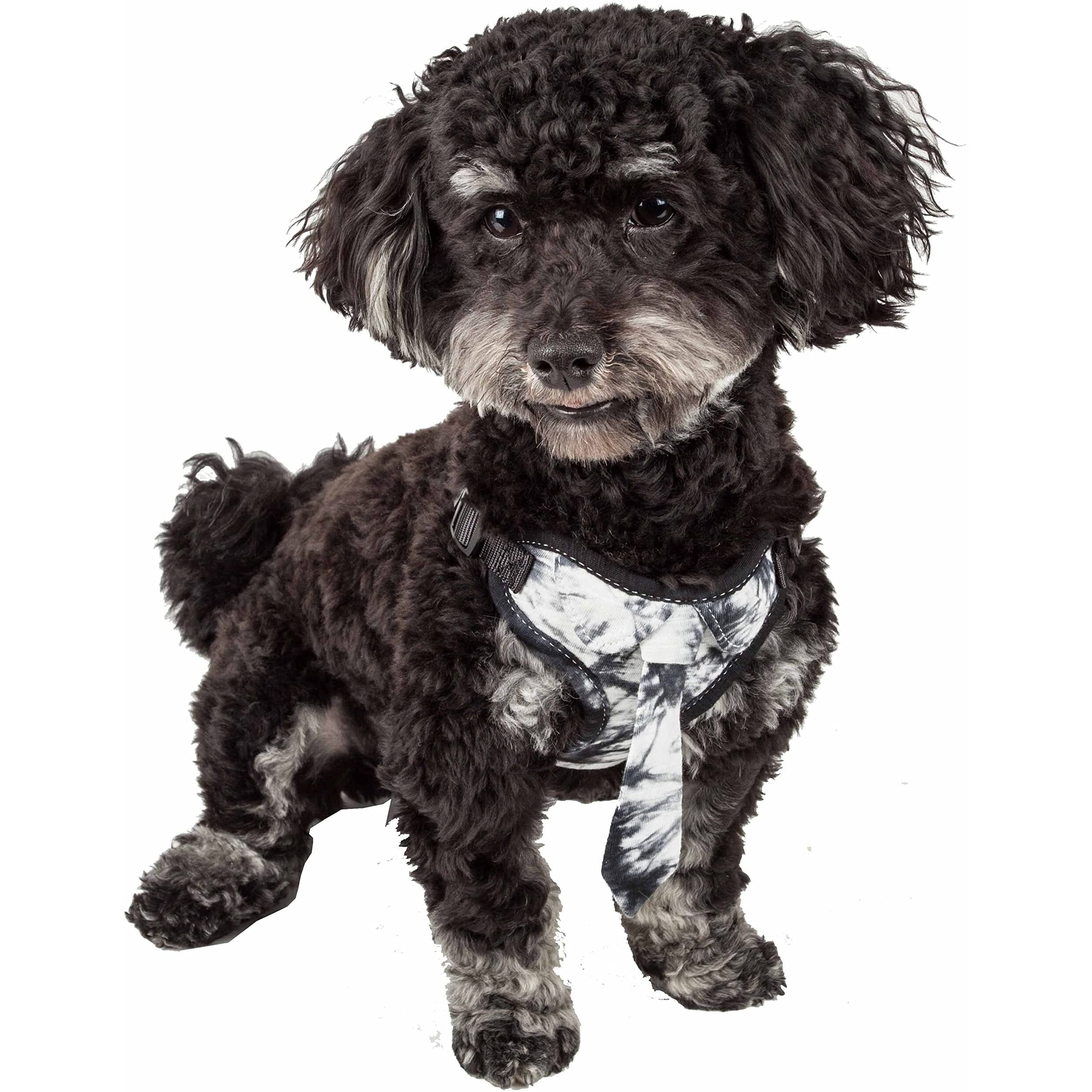 Pet Life 'Bonatied' Mesh Reversible And Breathable Adjustable Dog Harness W/ Designer Neck Tie(D0102H70K2G.)