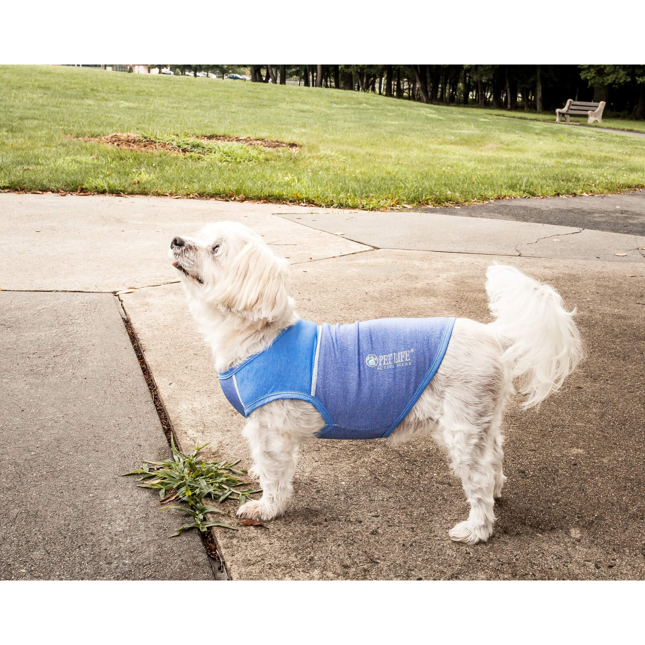 Pet Life Active 'Aero-Pawlse' Heathered Quick-Dry And 4-Way Stretch-Performance Dog Tank Top T-Shirt(D0102H7LUR7.)