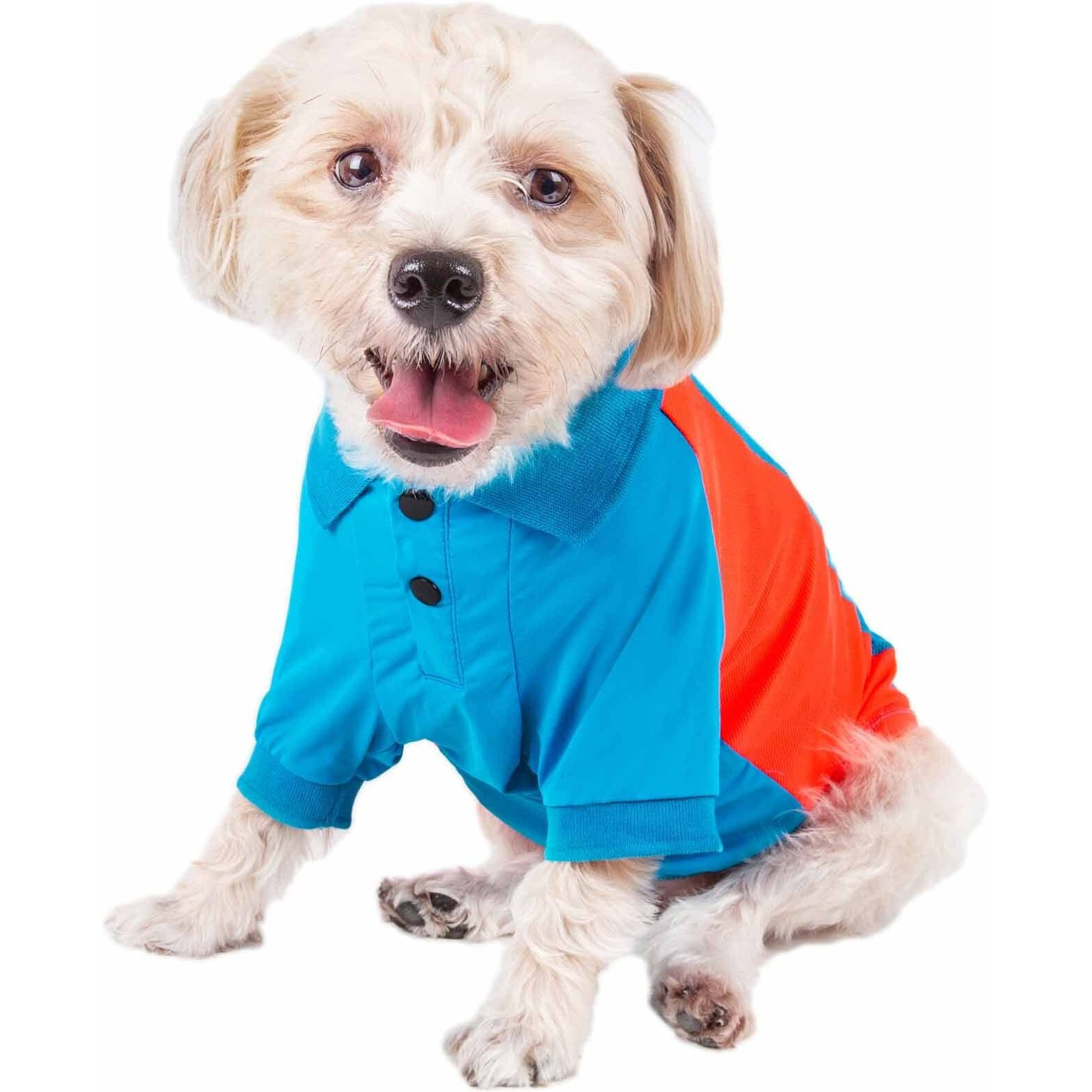 Pet Life Active 'Barko Pawlo' Relax-Stretch Wick-Proof Performance Dog Polo T-Shirt(D0102H7L3GG.)