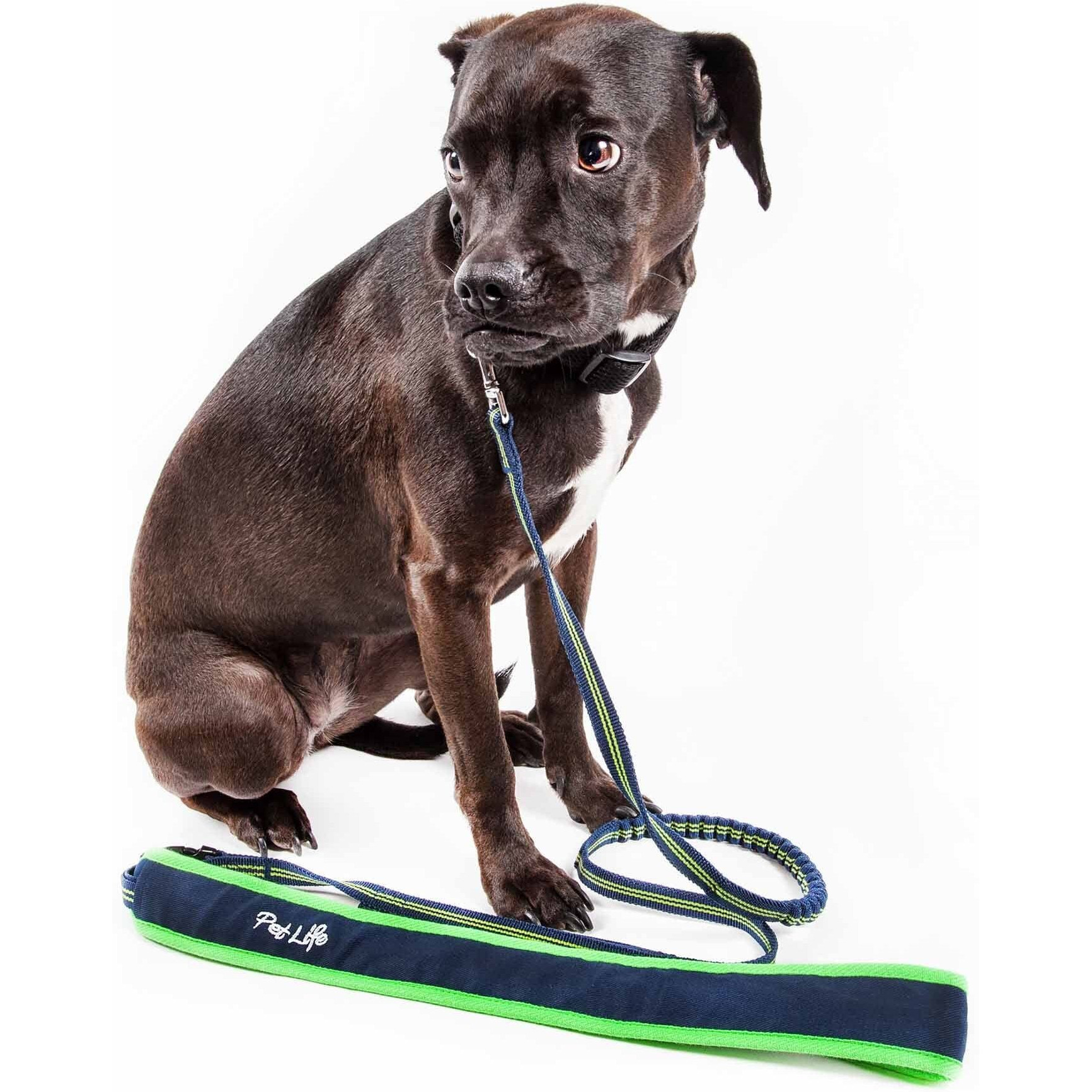 Pet Life 'Free-Fetcher' Hands Free Over-The-Shoulder Shock Absorbent Dog Leash(D0102H70XIY.)