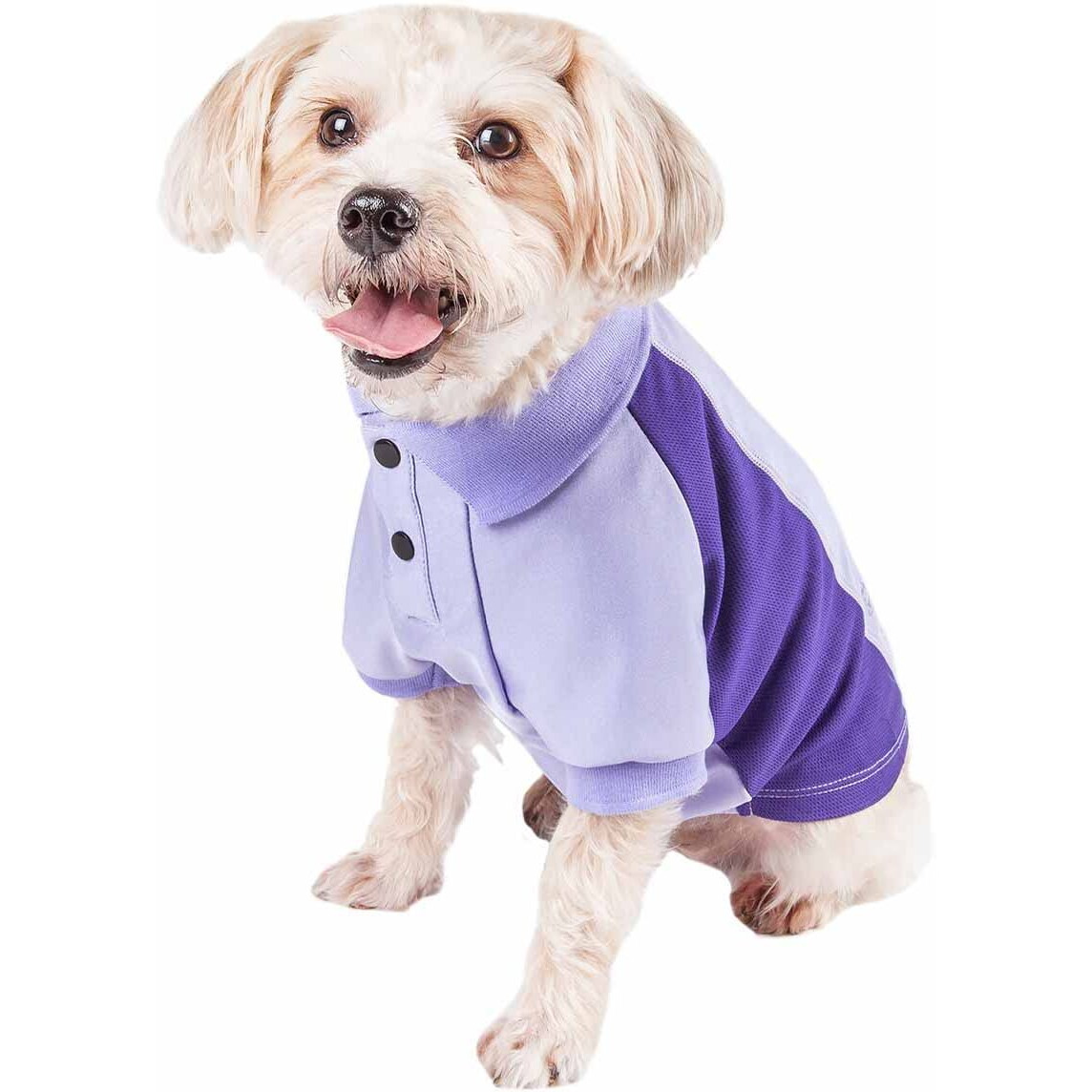 Pet Life Active 'Barko Pawlo' Relax-Stretch Wick-Proof Performance Dog Polo T-Shirt(D0102H7L30V.)