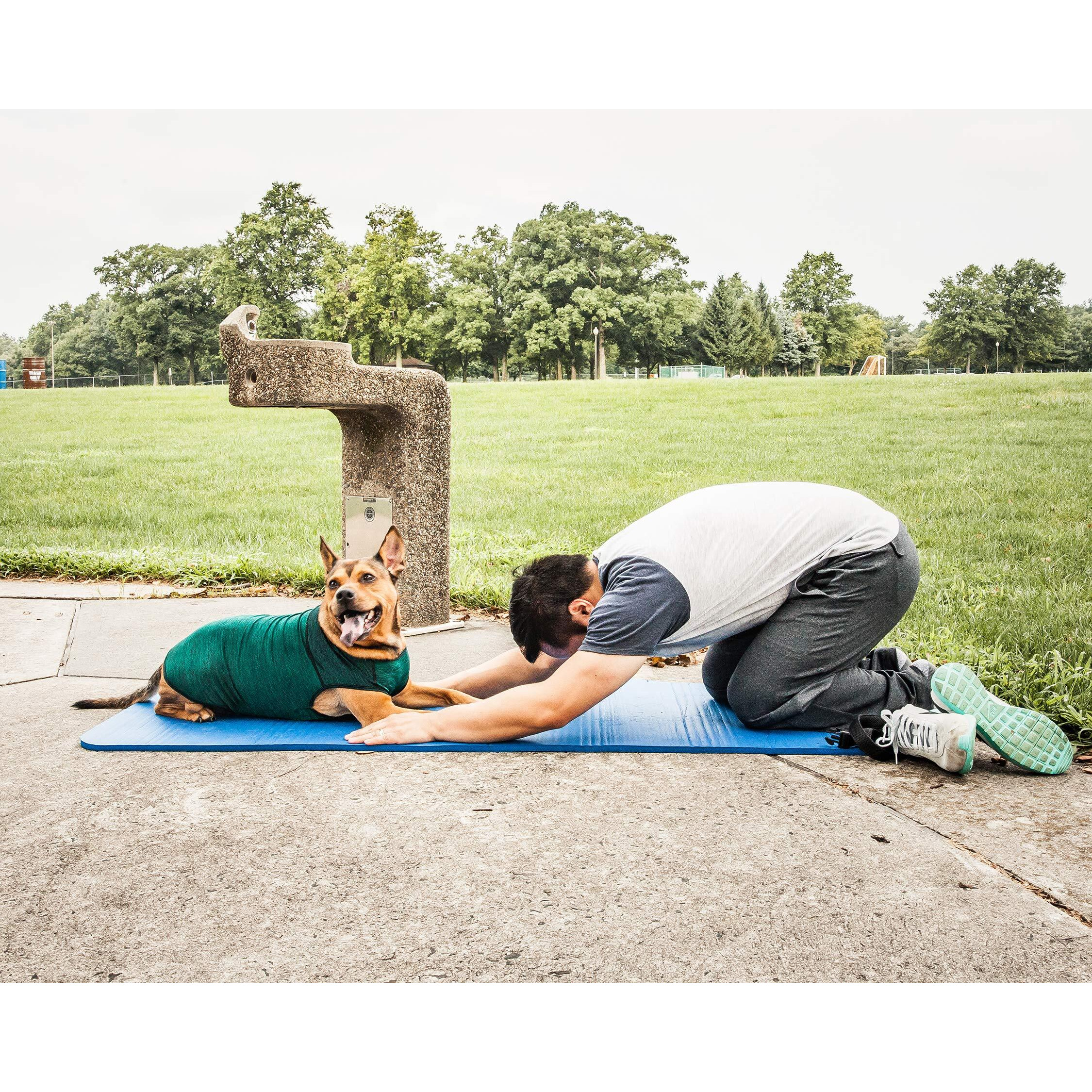 Pet Life Active 'Aero-Pawlse' Heathered Quick-Dry And 4-Way Stretch-Performance Dog Tank Top T-Shirt(D0102H7LTKV.)