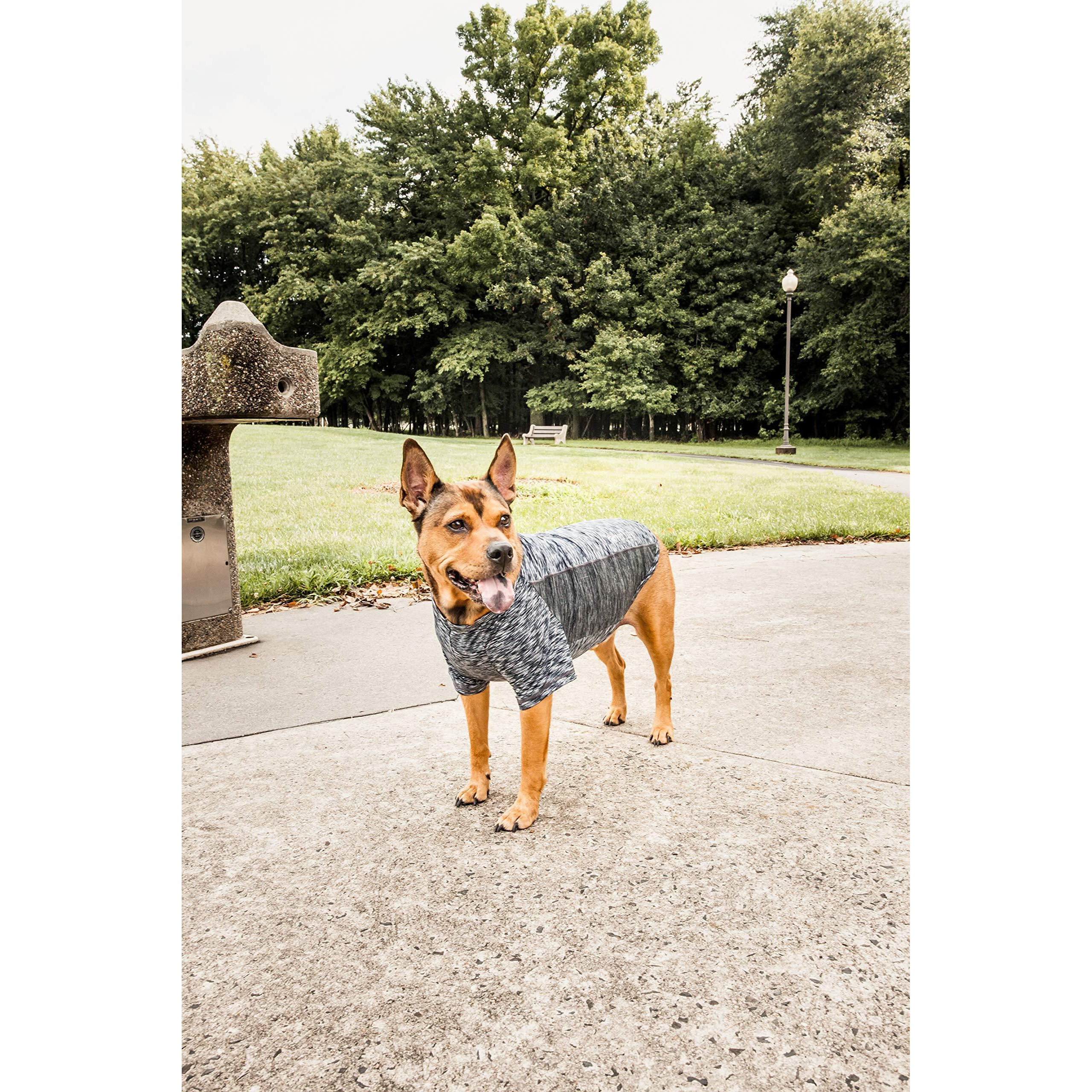 Pet Life Active 'Warf Speed' Heathered Ultra-Stretch Sporty Performance Dog T-Shirt(D0102H7LFNY.)