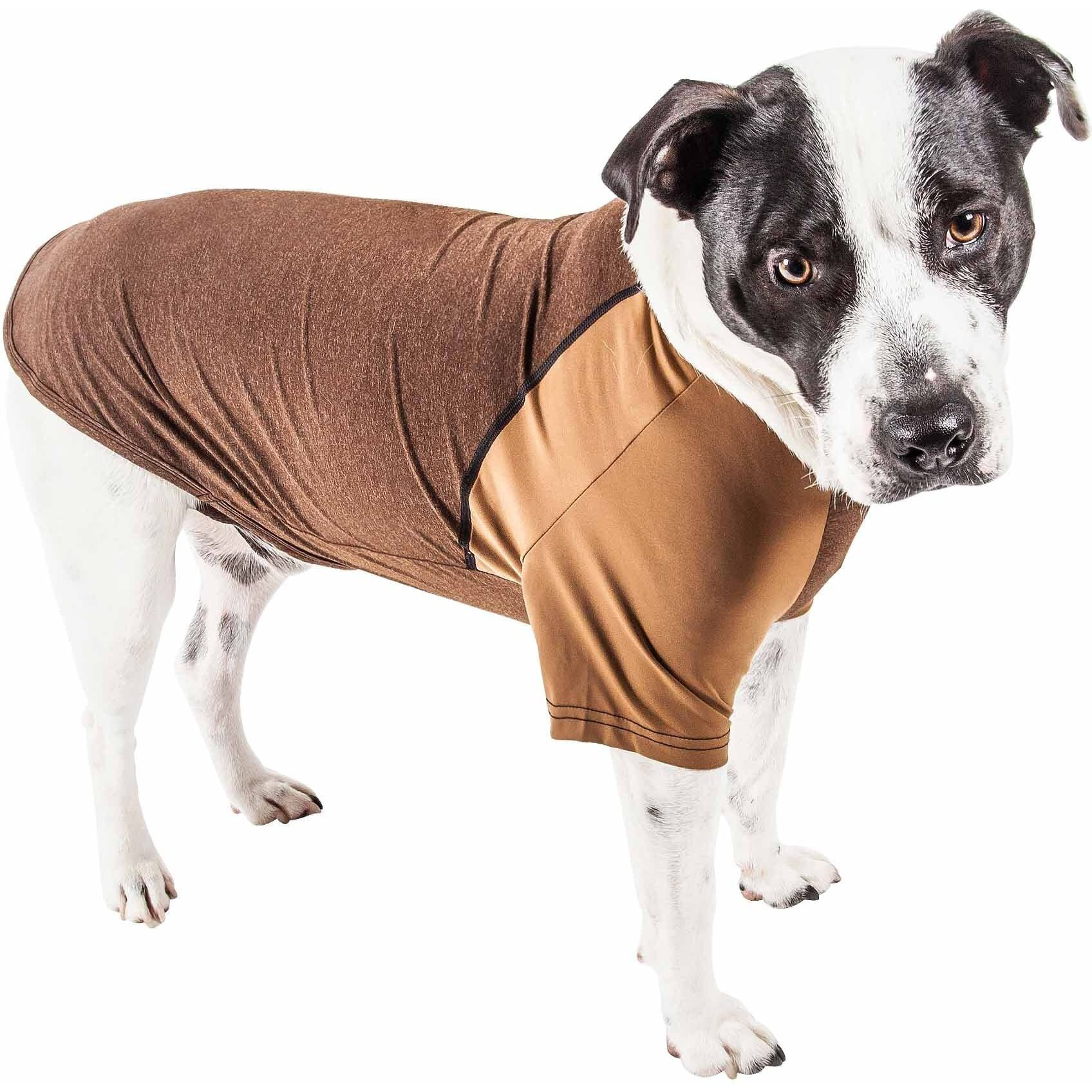 Pet Life Active 'Hybreed' 4-Way Stretch Two-Toned Performance Dog T-Shirt(D0102H7LFKW.)