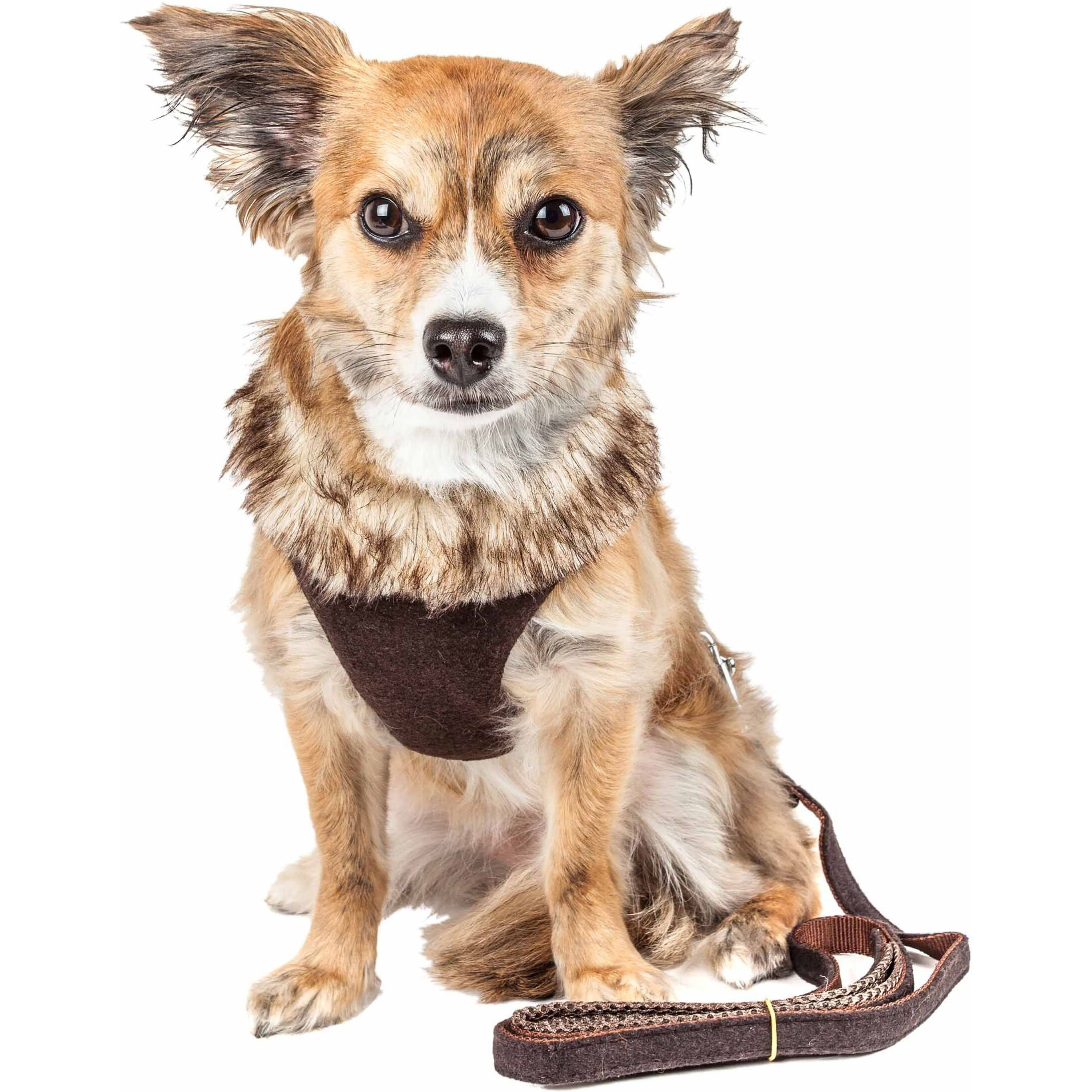 Pet Life Luxe 'Furracious' 2-In-1 Mesh Reversed Adjustable Dog Harness-Leash W/ Removable Fur Collar(D0102H70HF7.)