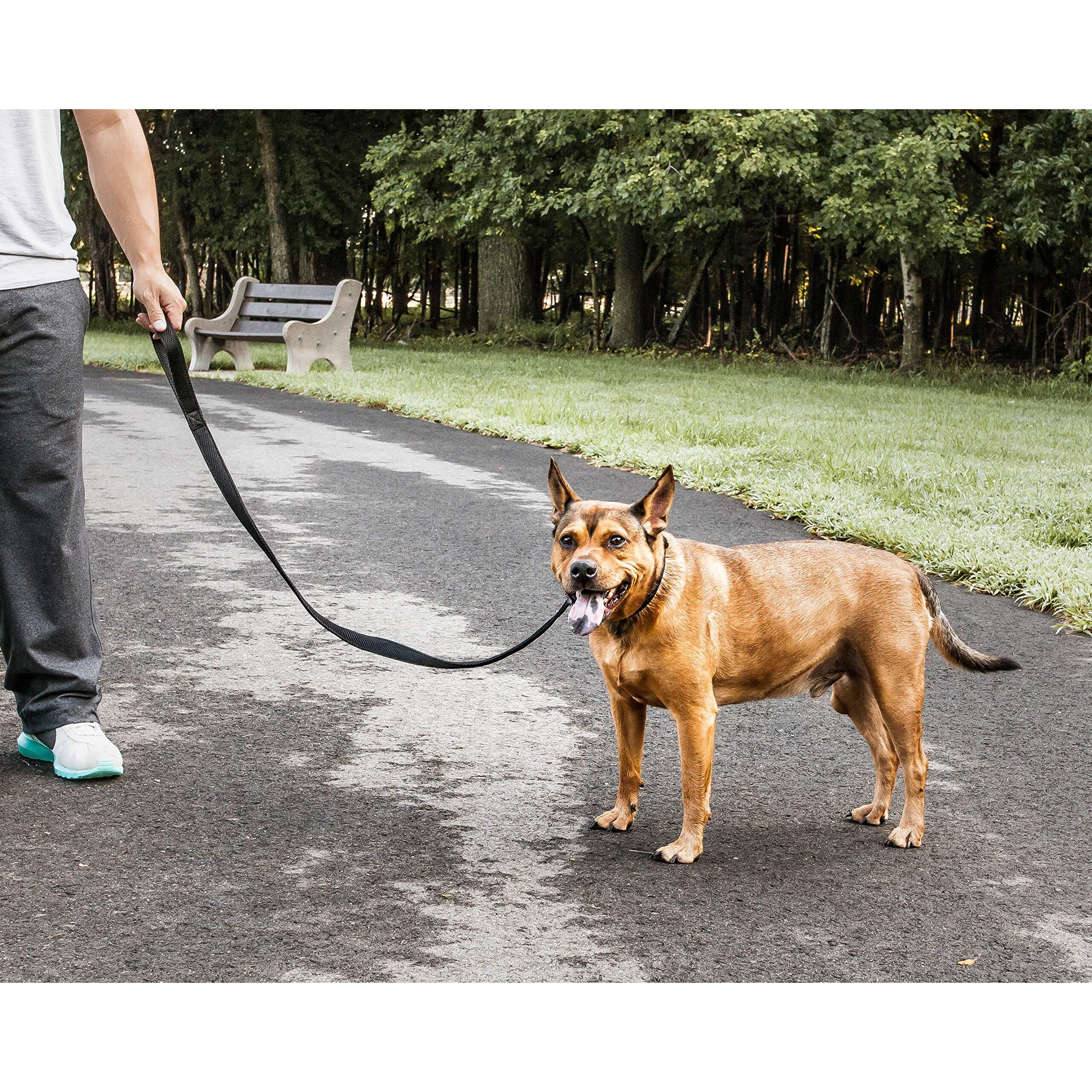 Pet Life 'Aero Mesh' Dual Sided Comfortable And Breathable Adjustable Mesh Dog Leash(D0102H70X9A.)