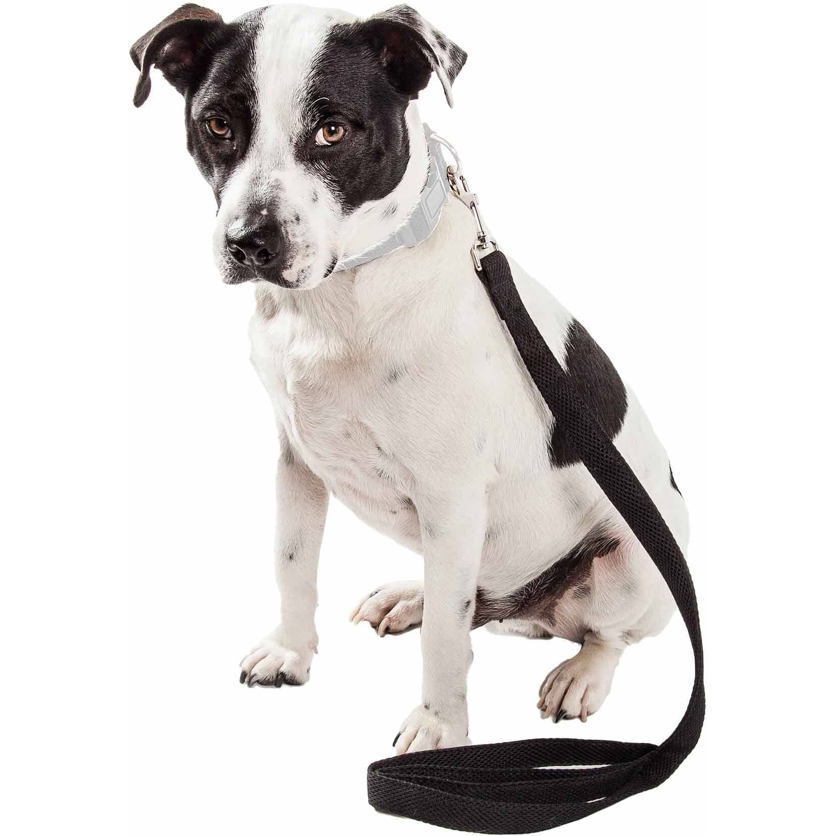Pet Life 'Aero Mesh' Dual Sided Comfortable And Breathable Adjustable Mesh Dog Leash(D0102H70X9A.)