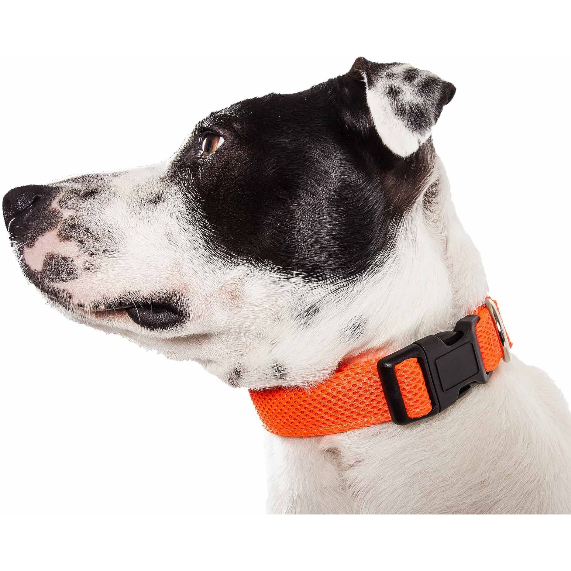 Pet Life 'Aero Mesh' 360 Degree Dual Sided Comfortable And Breathable Adjustable Mesh Dog Collar(D0102H70H8A.)