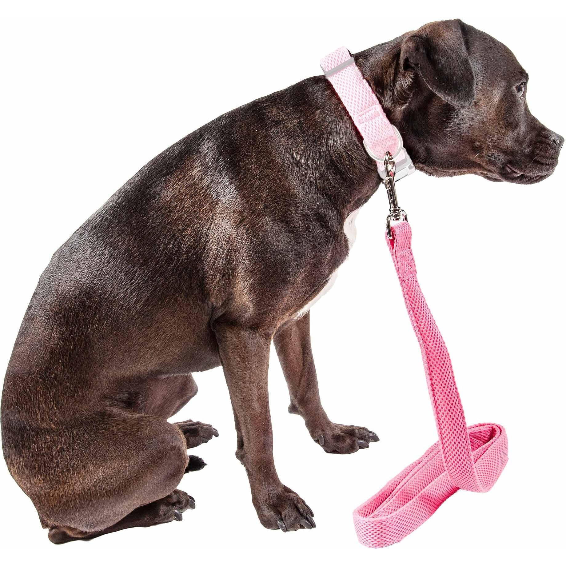 Pet Life 'Aero Mesh' Dual Sided Comfortable And Breathable Adjustable Mesh Dog Leash(D0102H70XSU.)