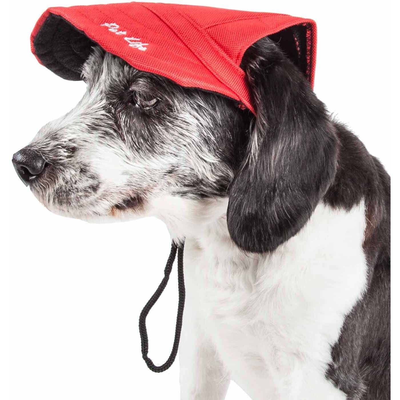Pet Life 'Cap-Tivating' Uv Protectant Adjustable Fashion Dog Hat Cap(D0102H70Z2V.)