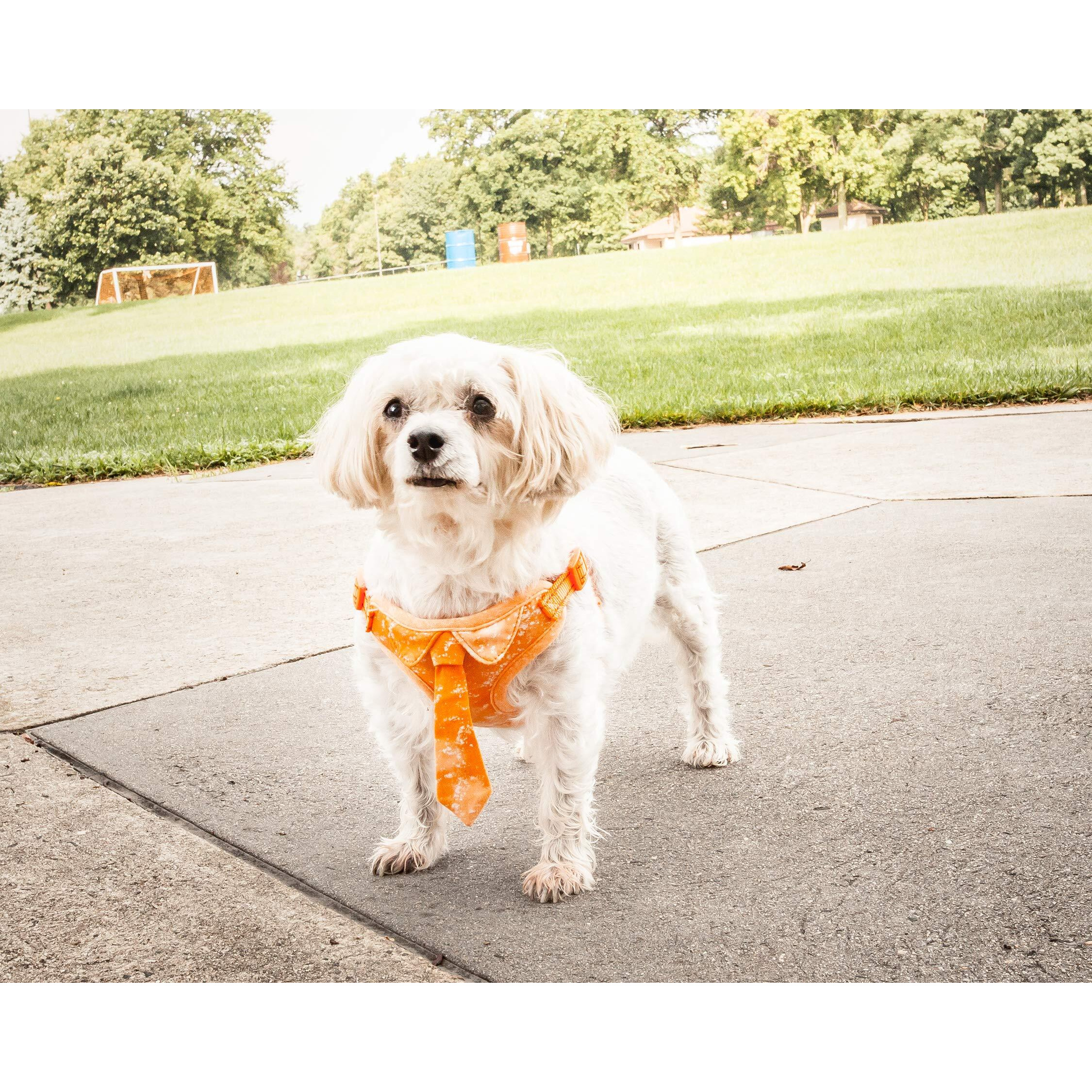 Pet Life 'Bonatied' Mesh Reversible And Breathable Adjustable Dog Harness W/ Designer Neck Tie(D0102H70KGV.)
