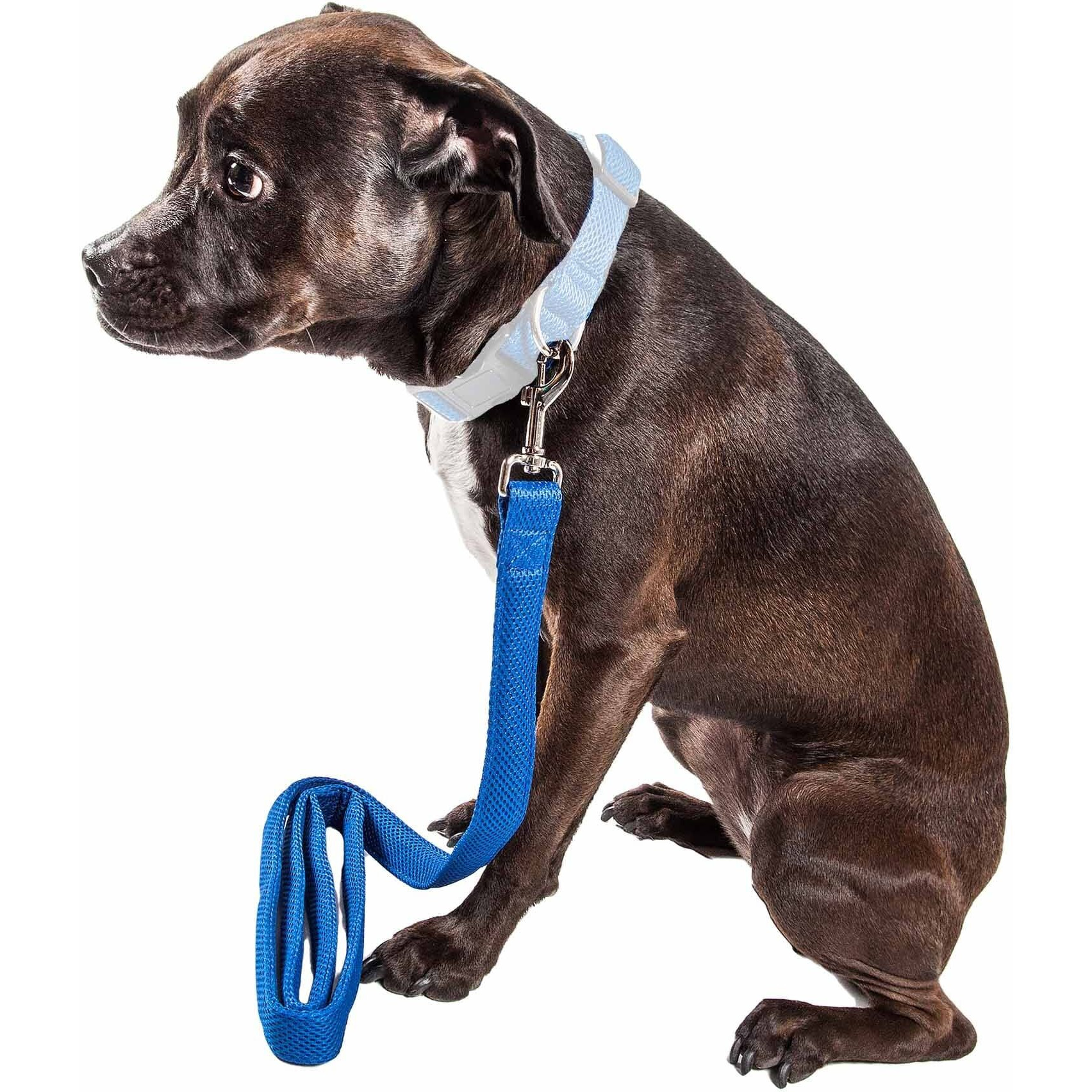 Pet Life 'Aero Mesh' Dual Sided Comfortable And Breathable Adjustable Mesh Dog Leash(D0102H70X9V.)