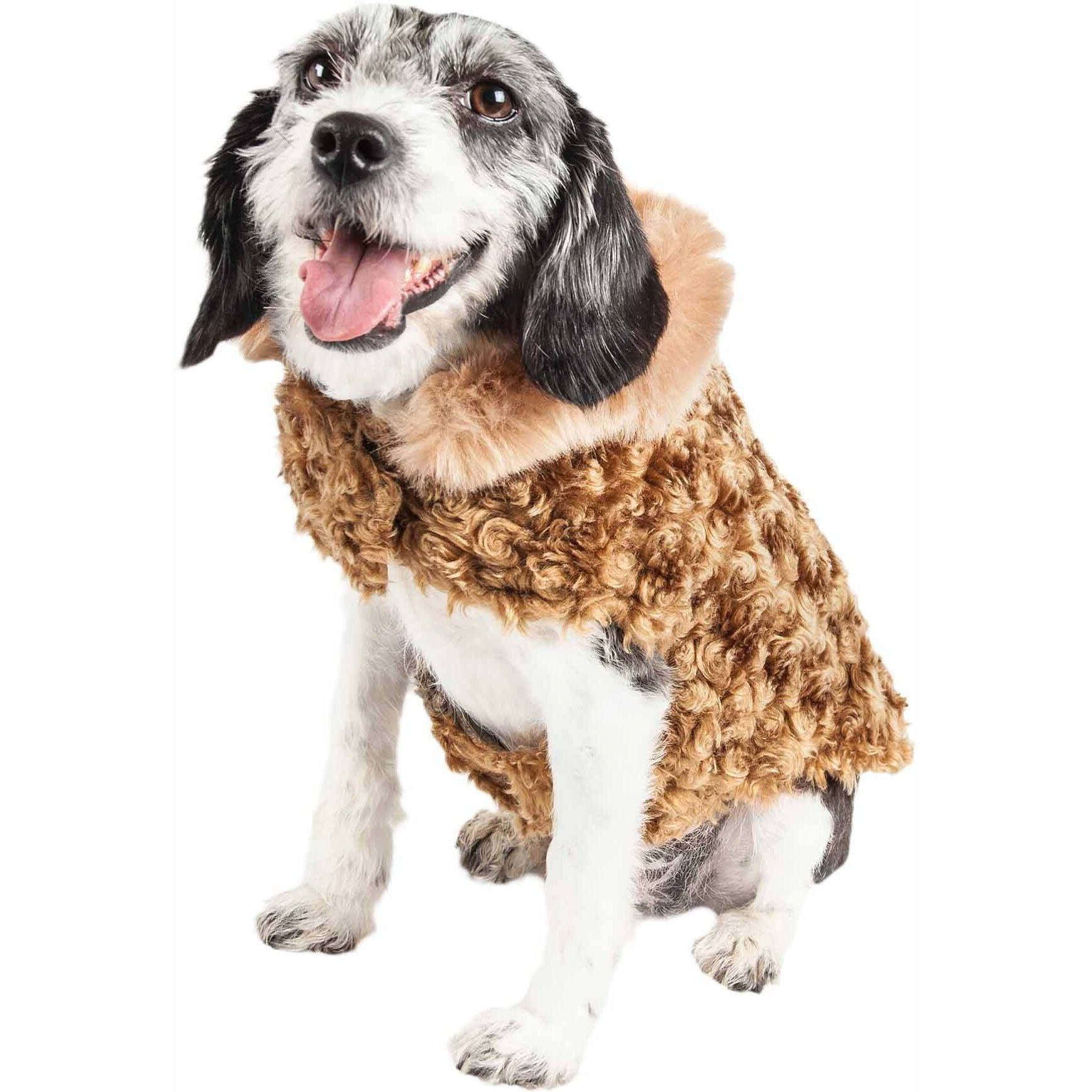 Pet Life Luxe 'Furpaw' Shaggy Elegant Designer Dog Coat Jacket(D0102H7LUCG.)