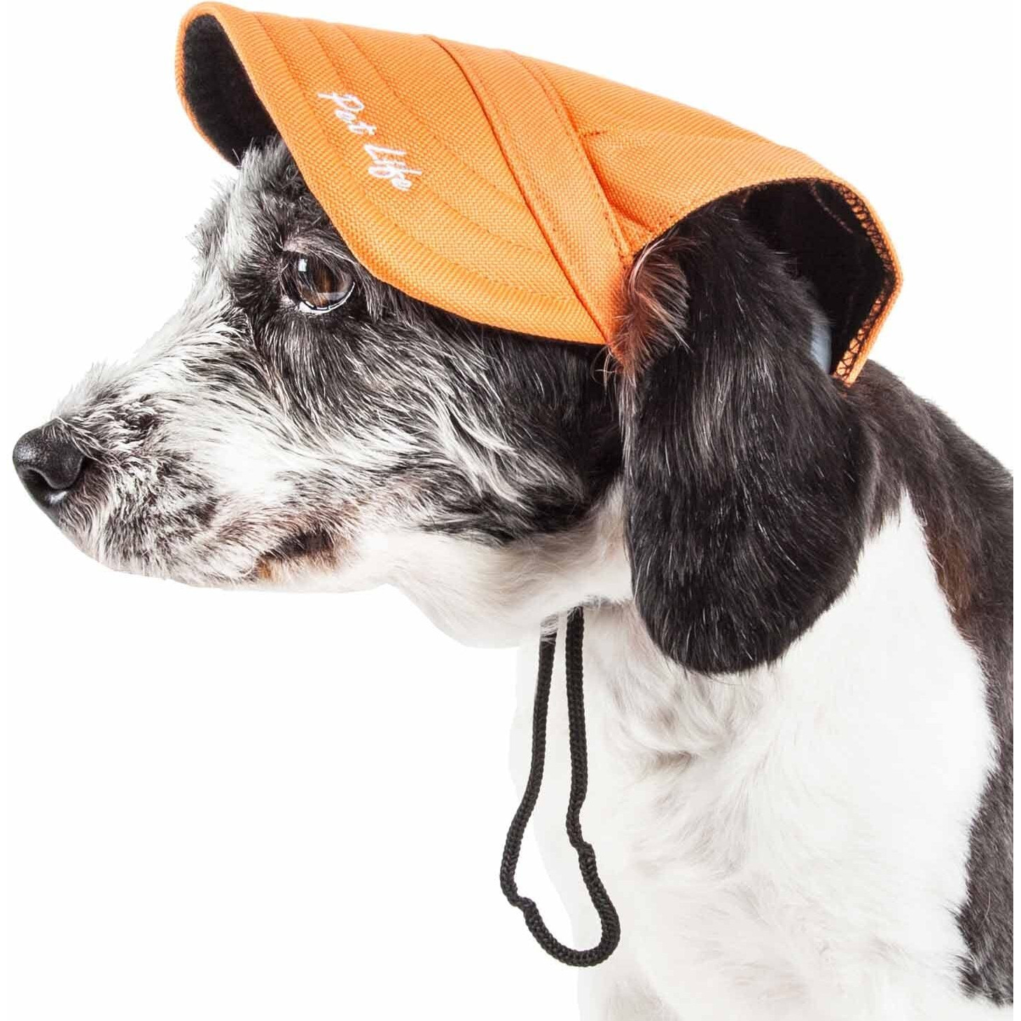 Pet Life 'Cap-Tivating' Uv Protectant Adjustable Fashion Dog Hat Cap(D0102H70ZGU.)