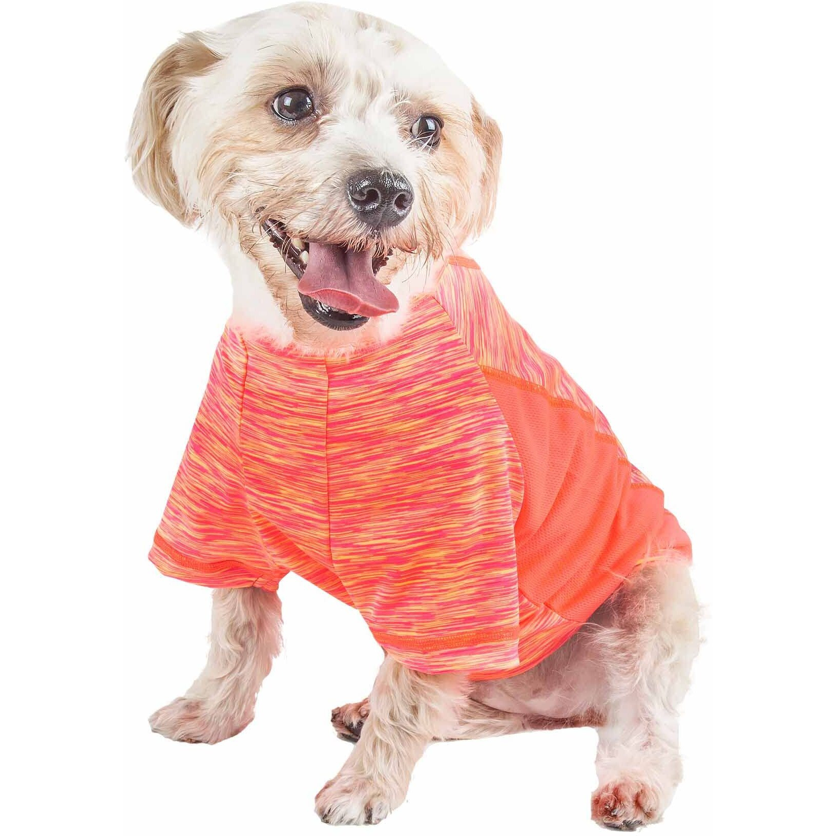 Pet Life Active 'Warf Speed' Heathered Ultra-Stretch Sporty Performance Dog T-Shirt(D0102H7L3HY.)