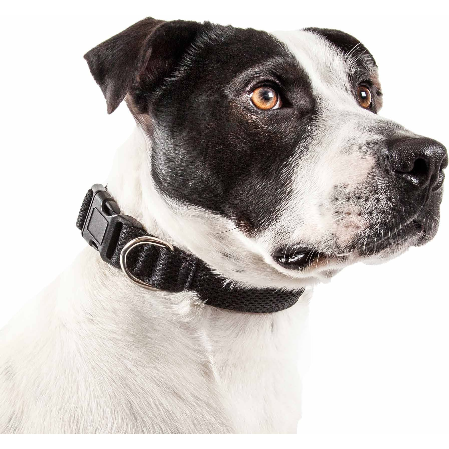 Pet Life 'Aero Mesh' 360 Degree Dual Sided Comfortable And Breathable Adjustable Mesh Dog Collar(D0102H70HD7.)