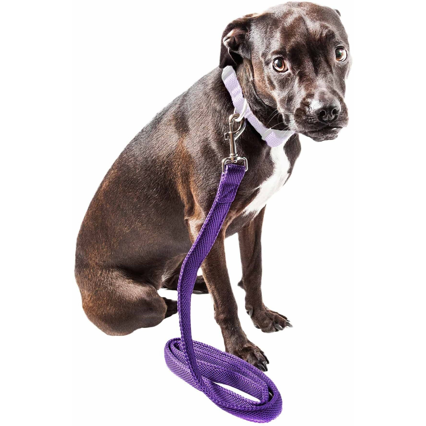 Pet Life 'Aero Mesh' Dual Sided Comfortable And Breathable Adjustable Mesh Dog Leash(D0102H70X9W.)