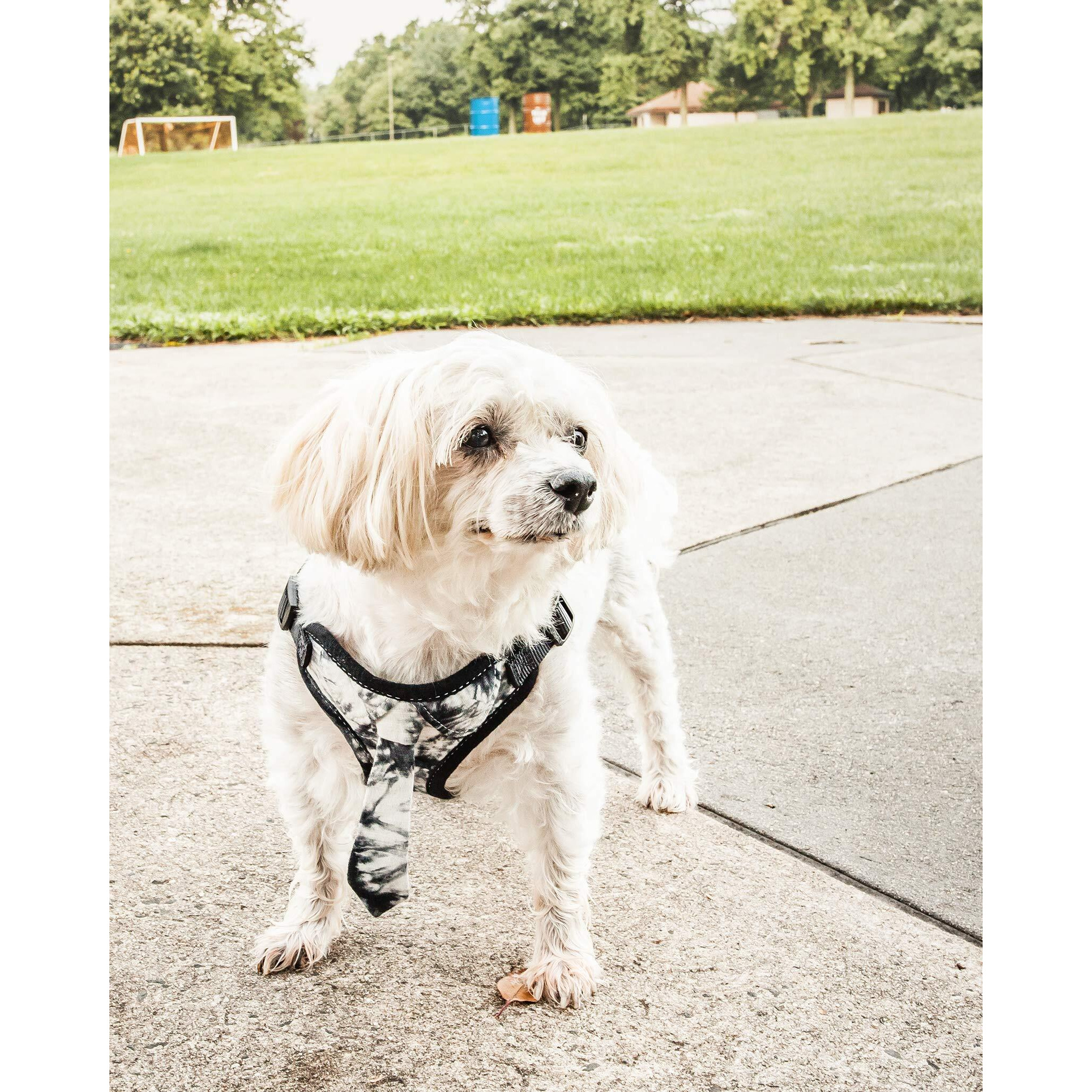 Pet Life 'Bonatied' Mesh Reversible And Breathable Adjustable Dog Harness W/ Designer Neck Tie(D0102H70K2Y.)