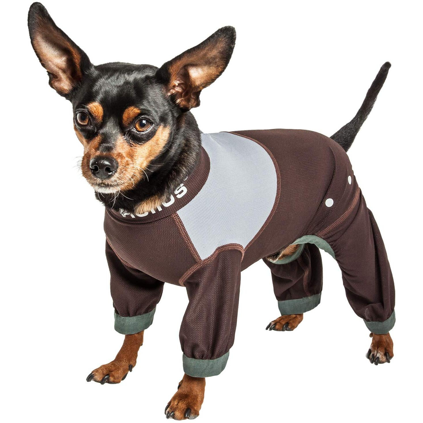 Dog Helios 'Tail Runner' Lightweight 4-Way-Stretch Breathable Full Bodied Performance Dog Track Suit(D0102H70HGV.)