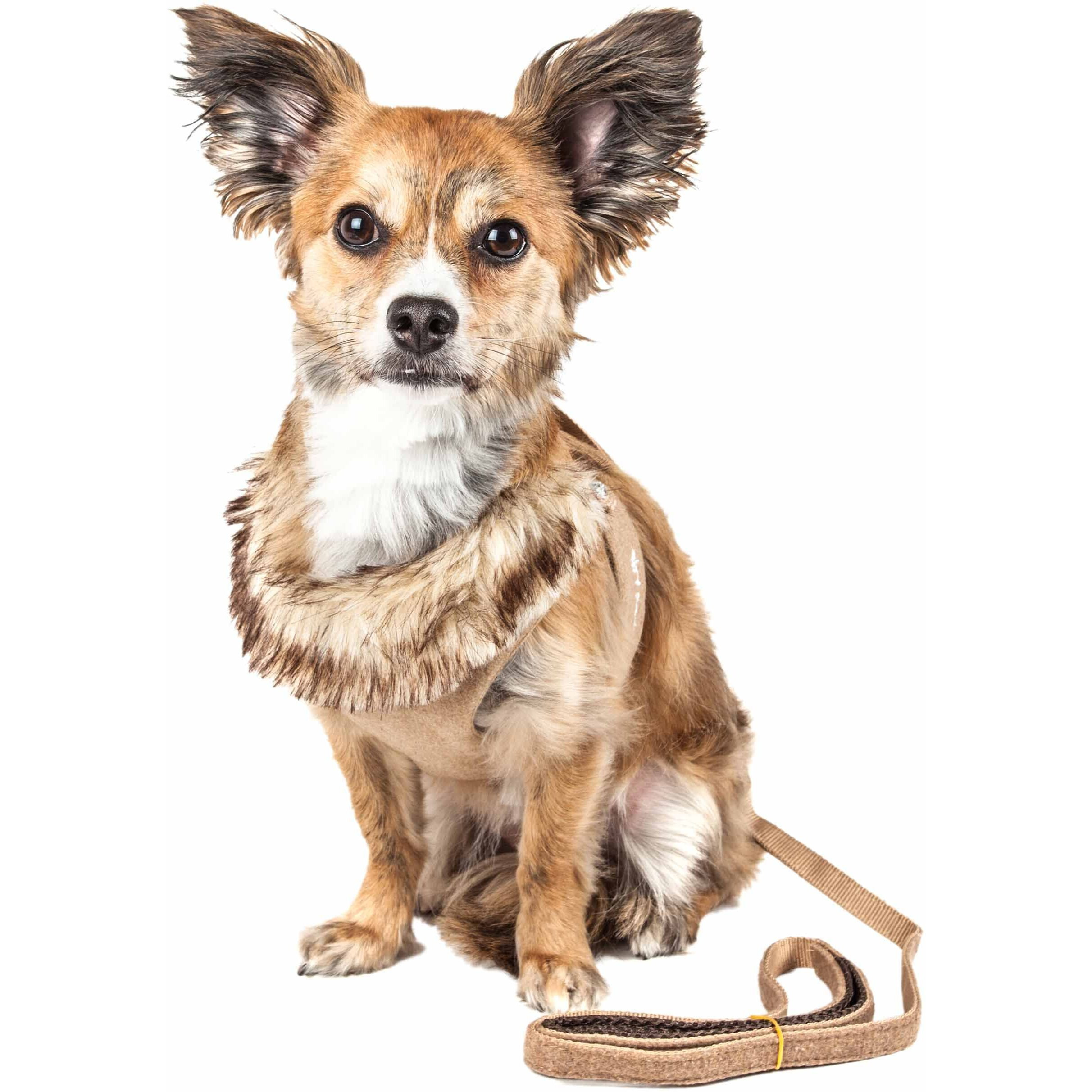 Pet Life Luxe 'Furracious' 2-In-1 Mesh Reversed Adjustable Dog Harness-Leash W/ Removable Fur Collar(D0102H70HFU.)