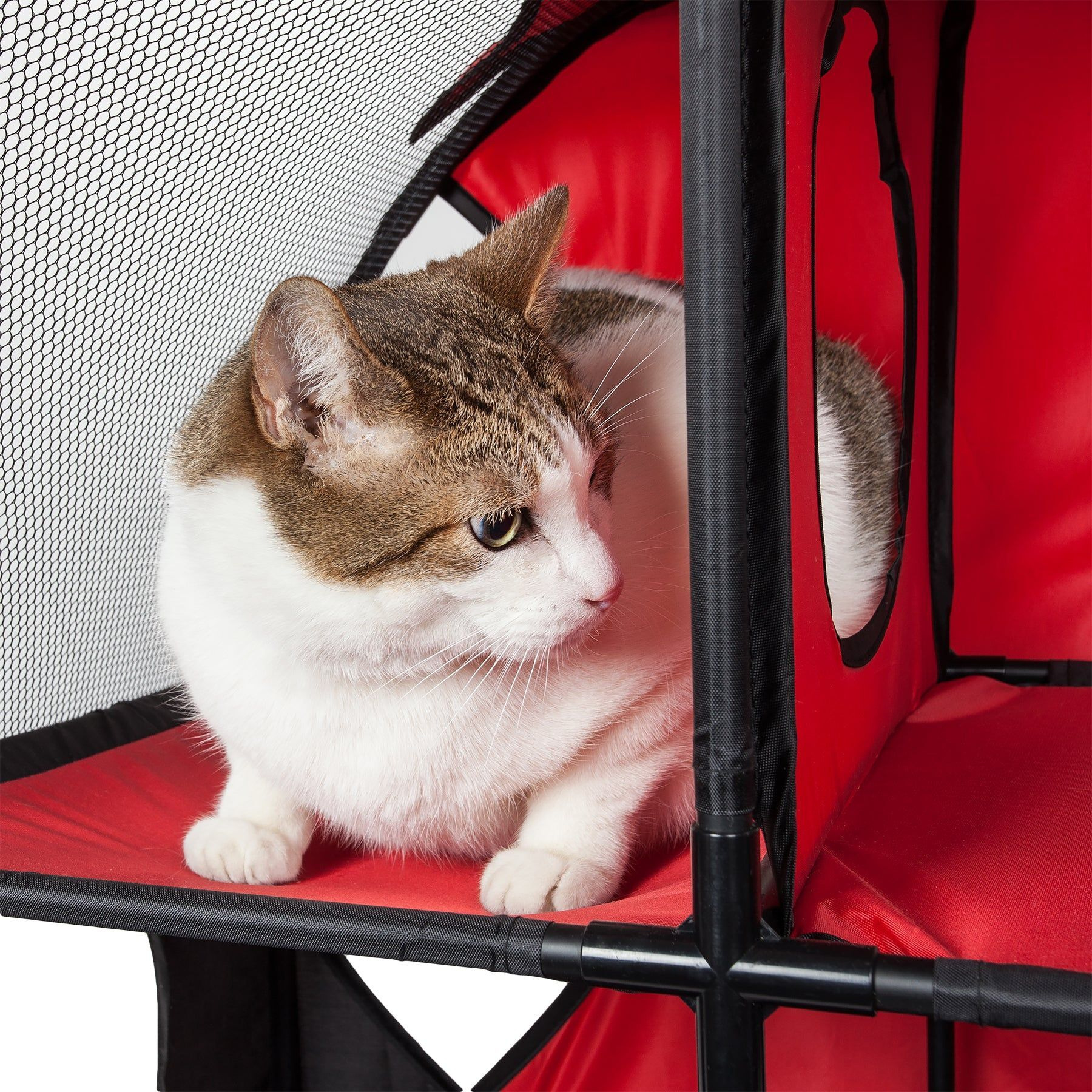 Pet Life Kitty-Play Obstacle Travel Collapsible Soft Folding Pet Cat House(D0102H703NU.)