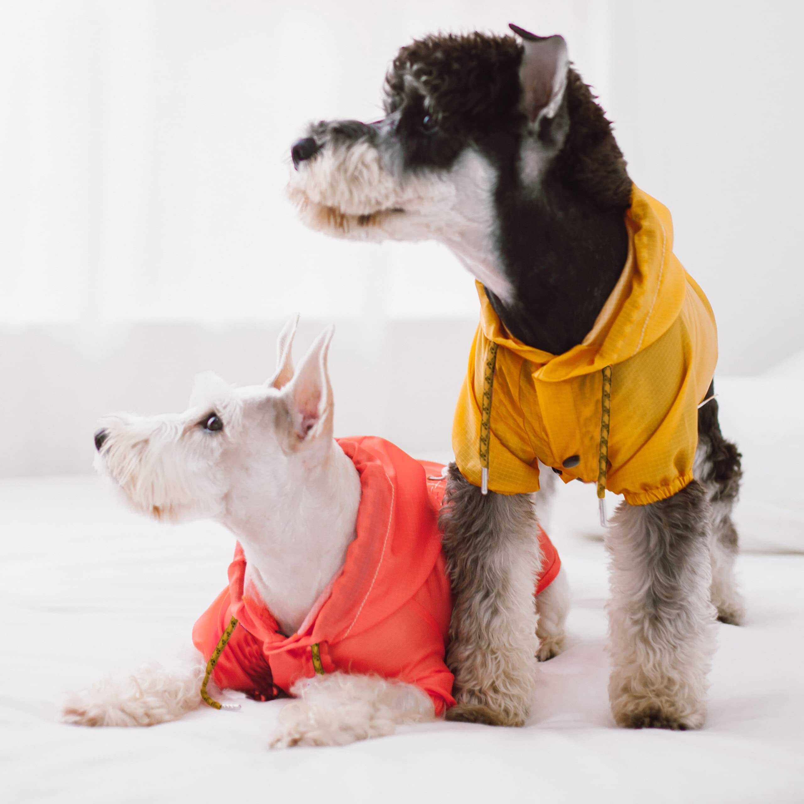 Touchdog  Split-Vent Designer Waterproof Dog Raincoat(D0102HAXEMA.)