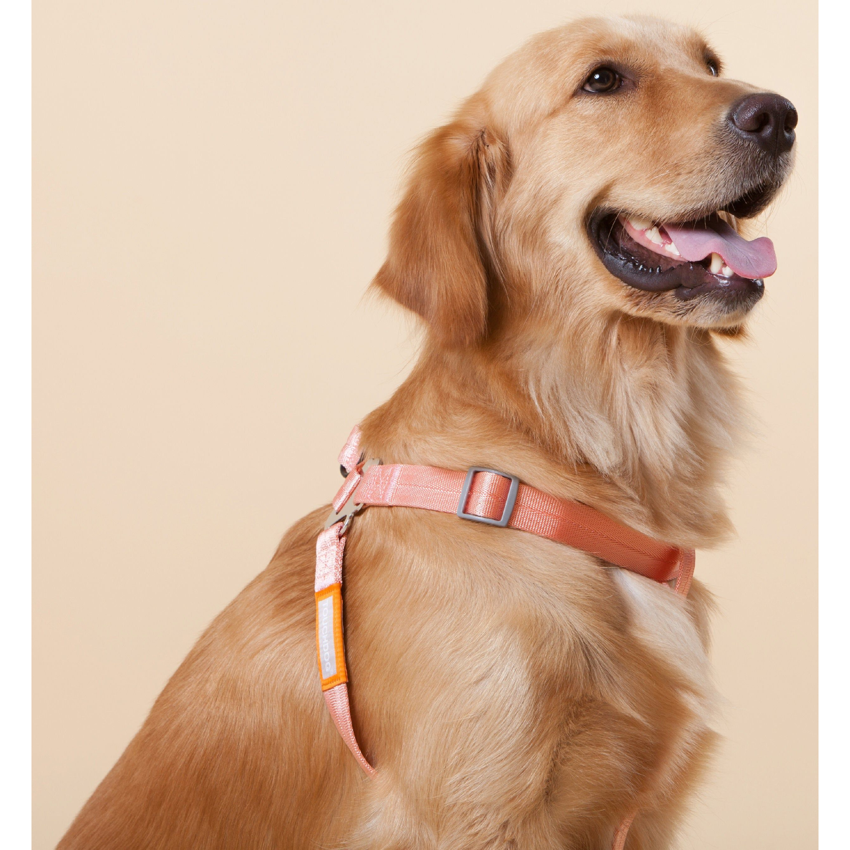 Touchdog  'Macaron' 2-in-1 Durable Nylon Dog Harness and Leash(D0102HAXA8W.)